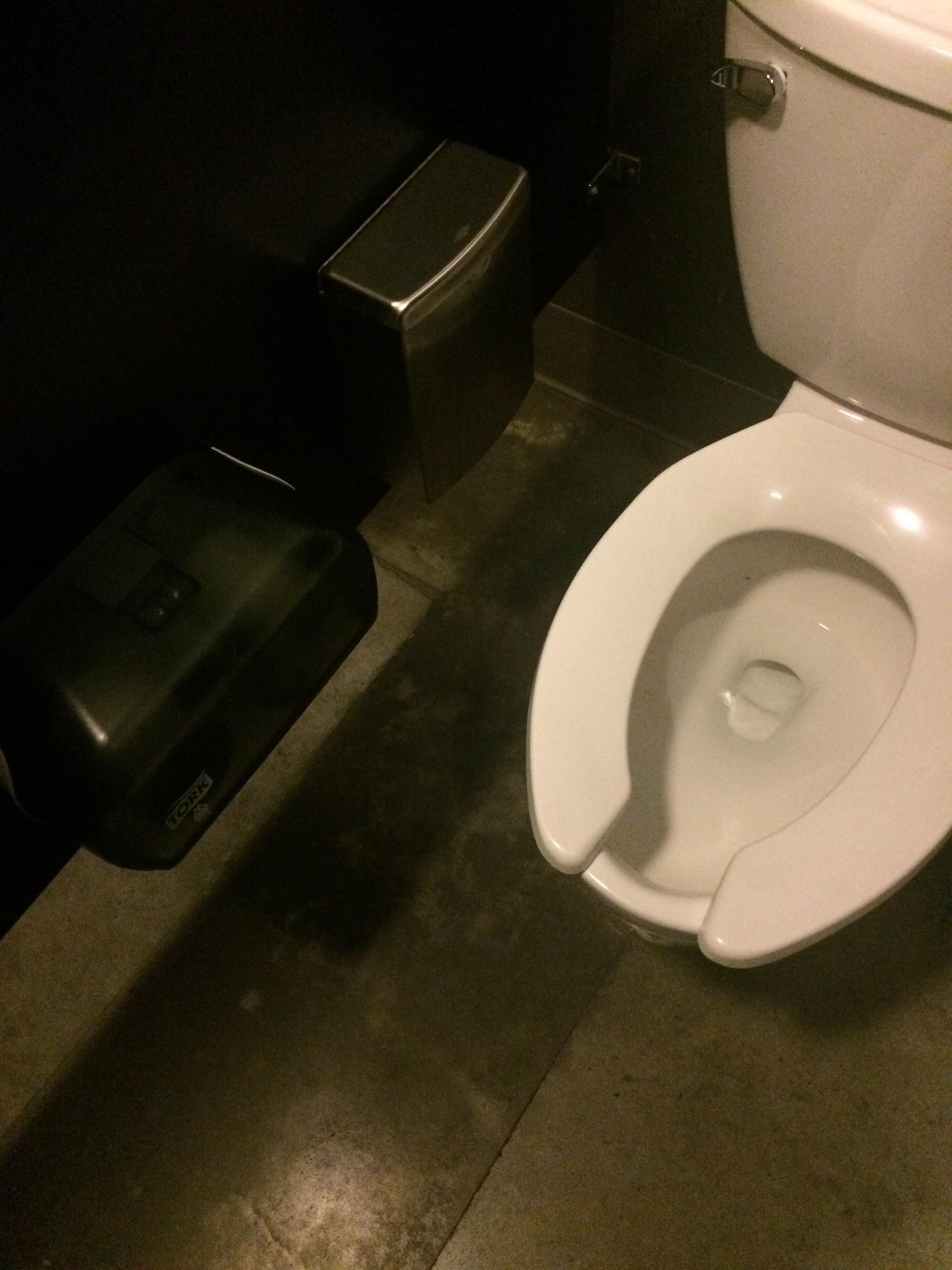 The placement of this toilet paper dispenser r/assholedesign