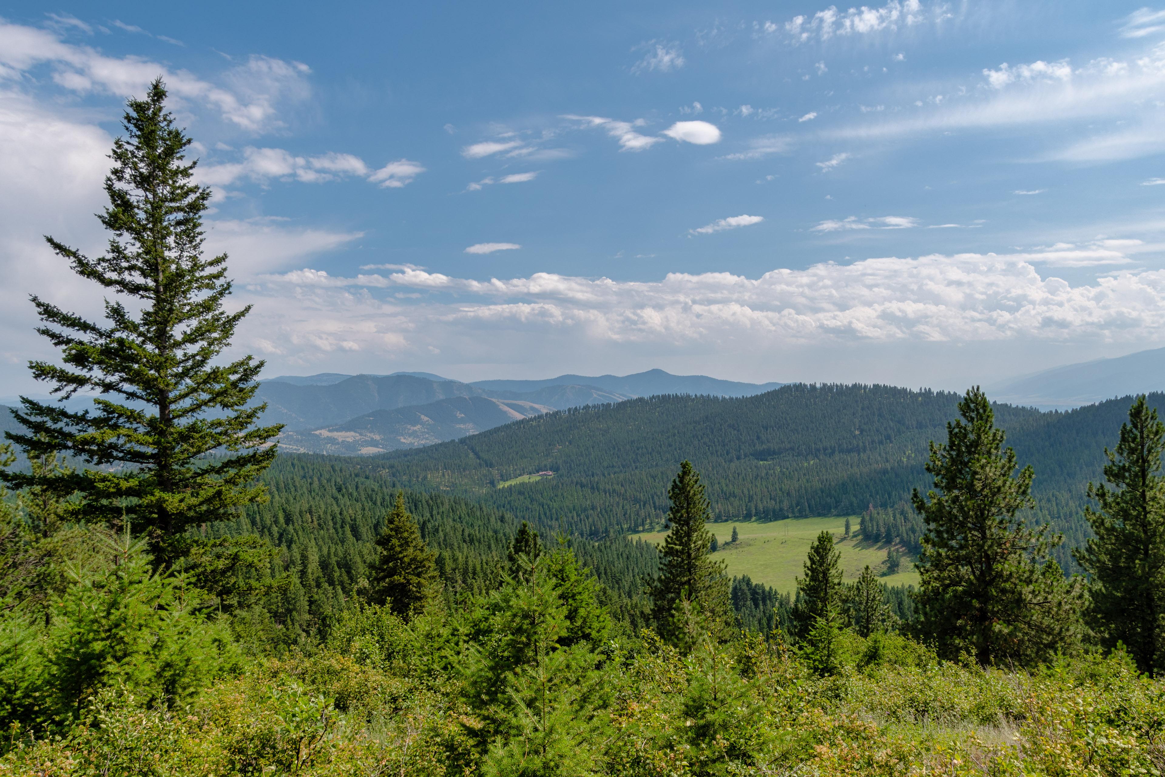 Looking across the Rattlesnake National Recreation Area from trail 24.5