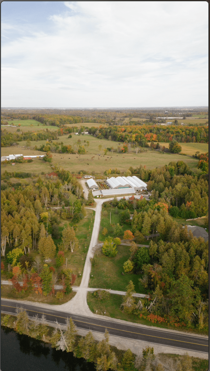 Large Greenhouse growing space for rent r/Greenhouses