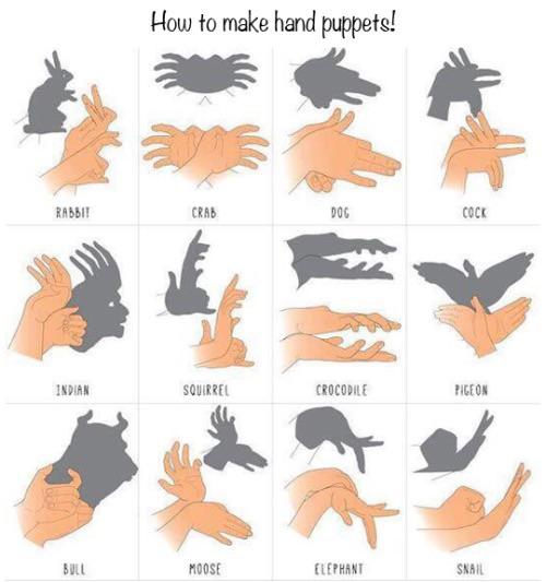 Shadow Hand Puppets Guide coolguides