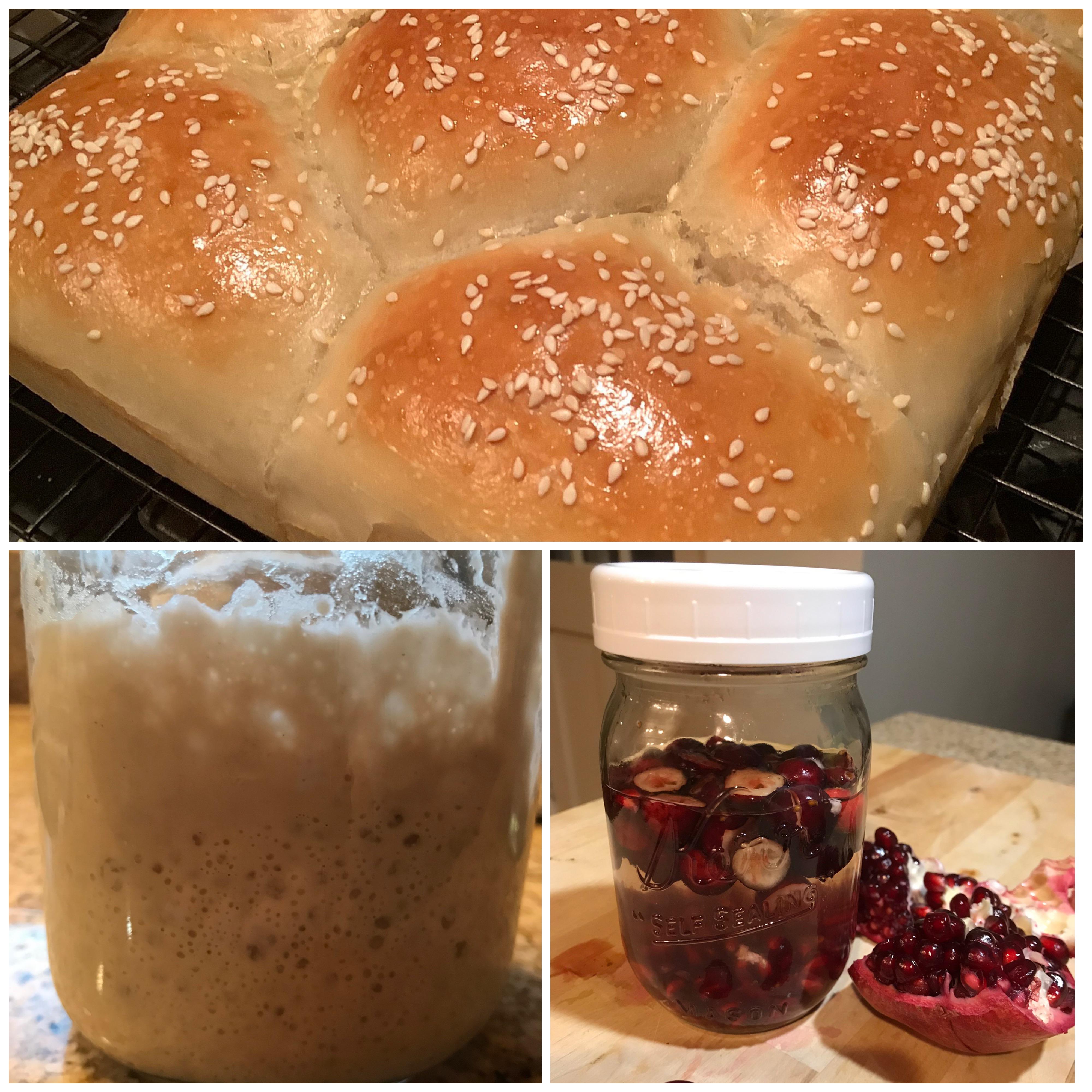 THE GREAT FRUIT YEAST WATER EXPERIMENT! This is my first attempt at using home grown Fruit Yeast