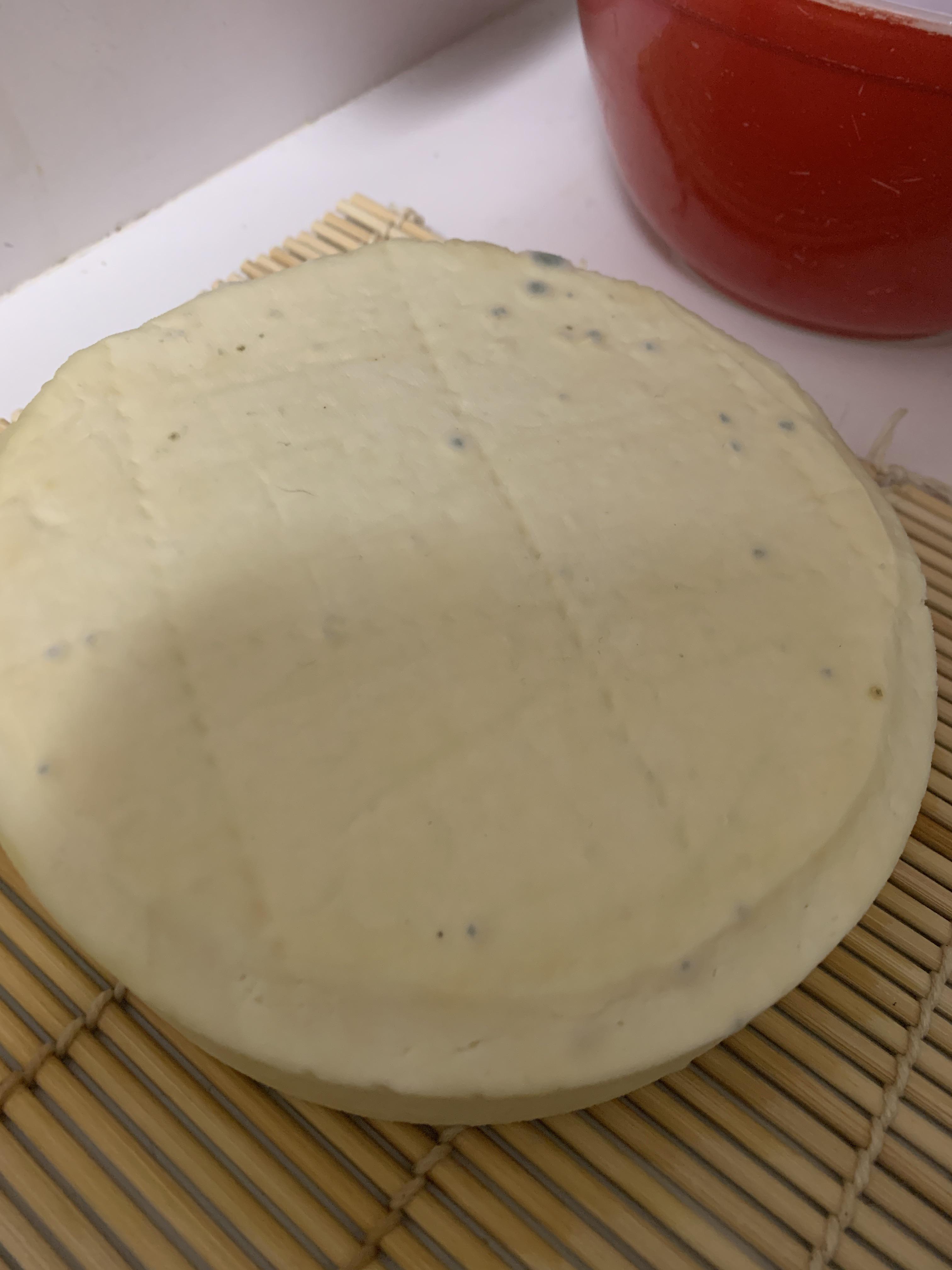 Mold on cheese...is it okay? r/cheesemaking