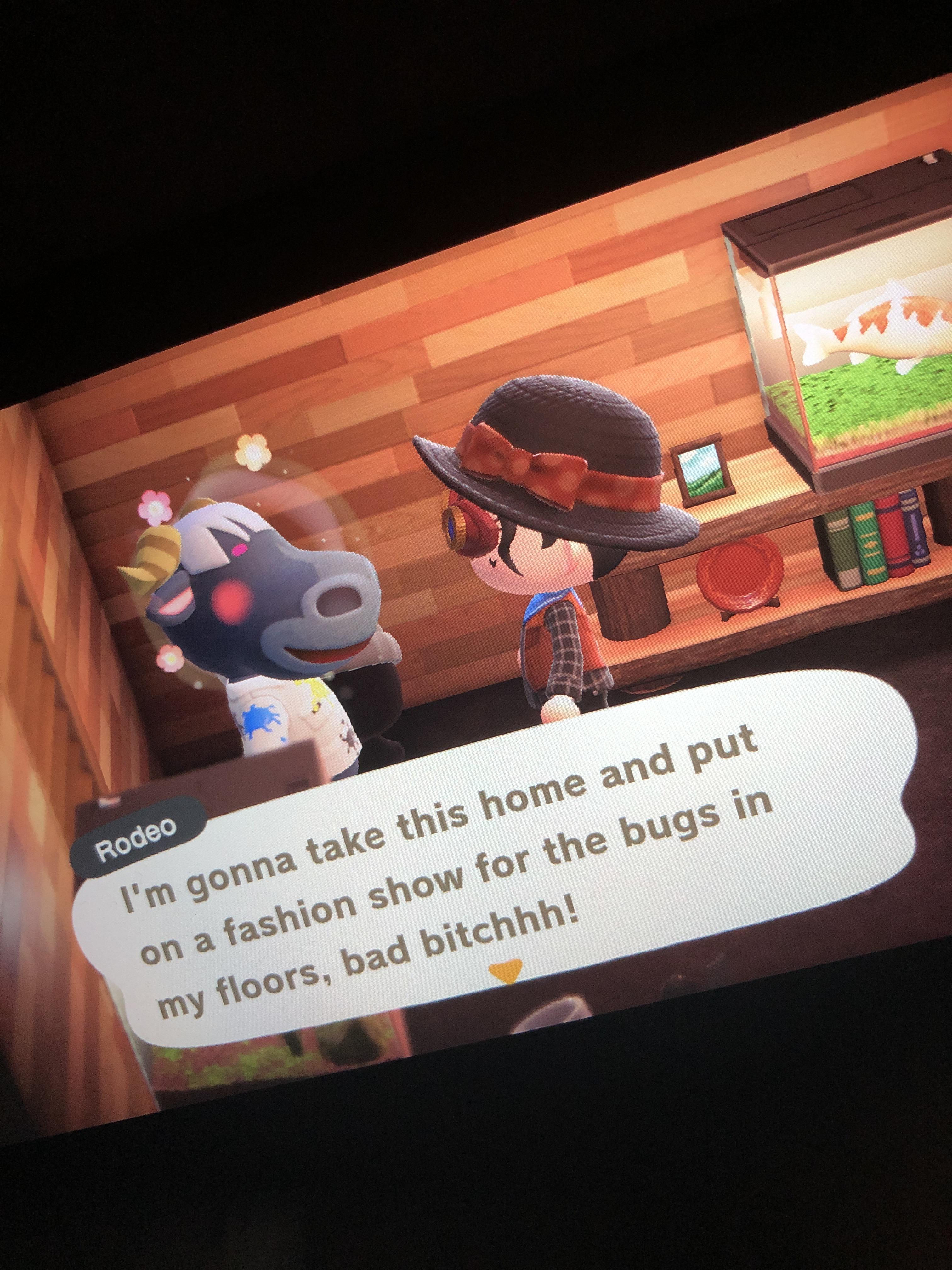 Rodeo, we are in YOUR house r/AnimalCrossing