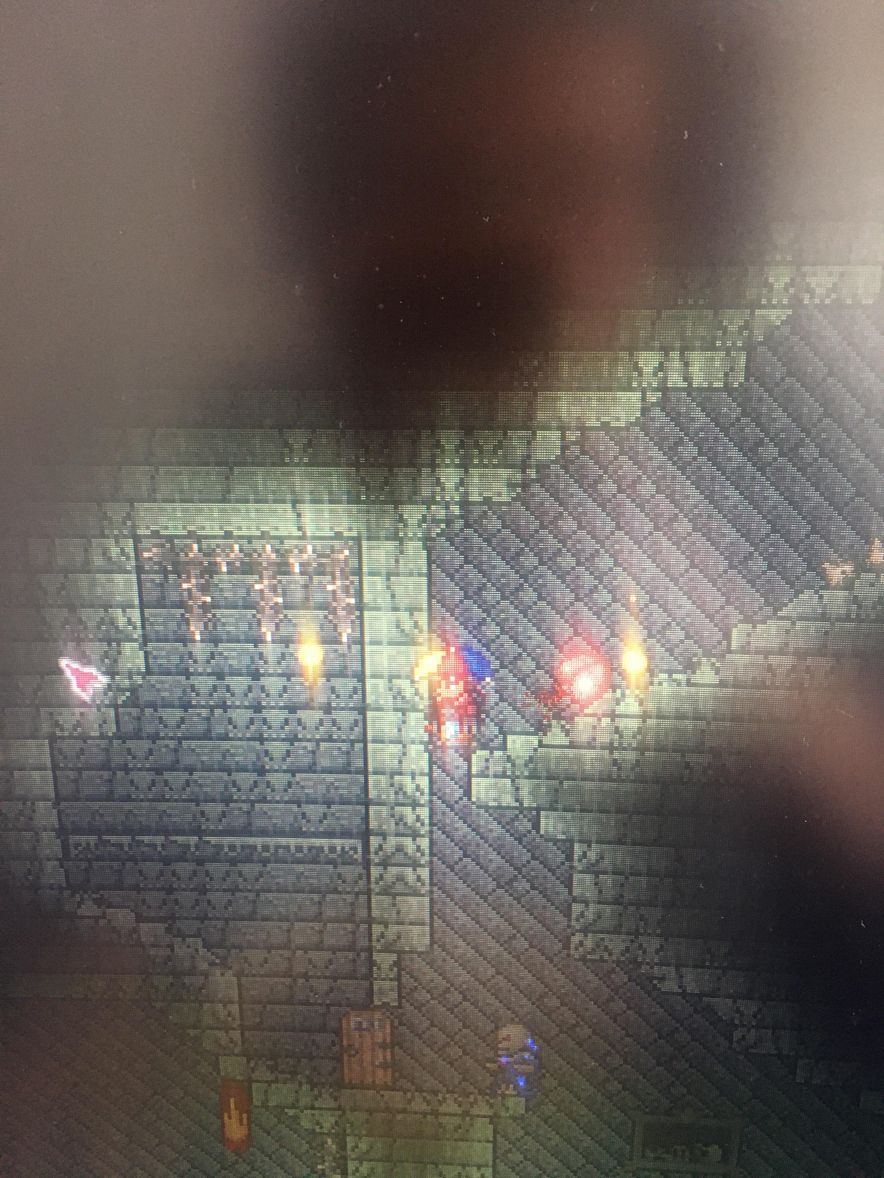 I am new to terraria and I was clearing this dungeon with my friends