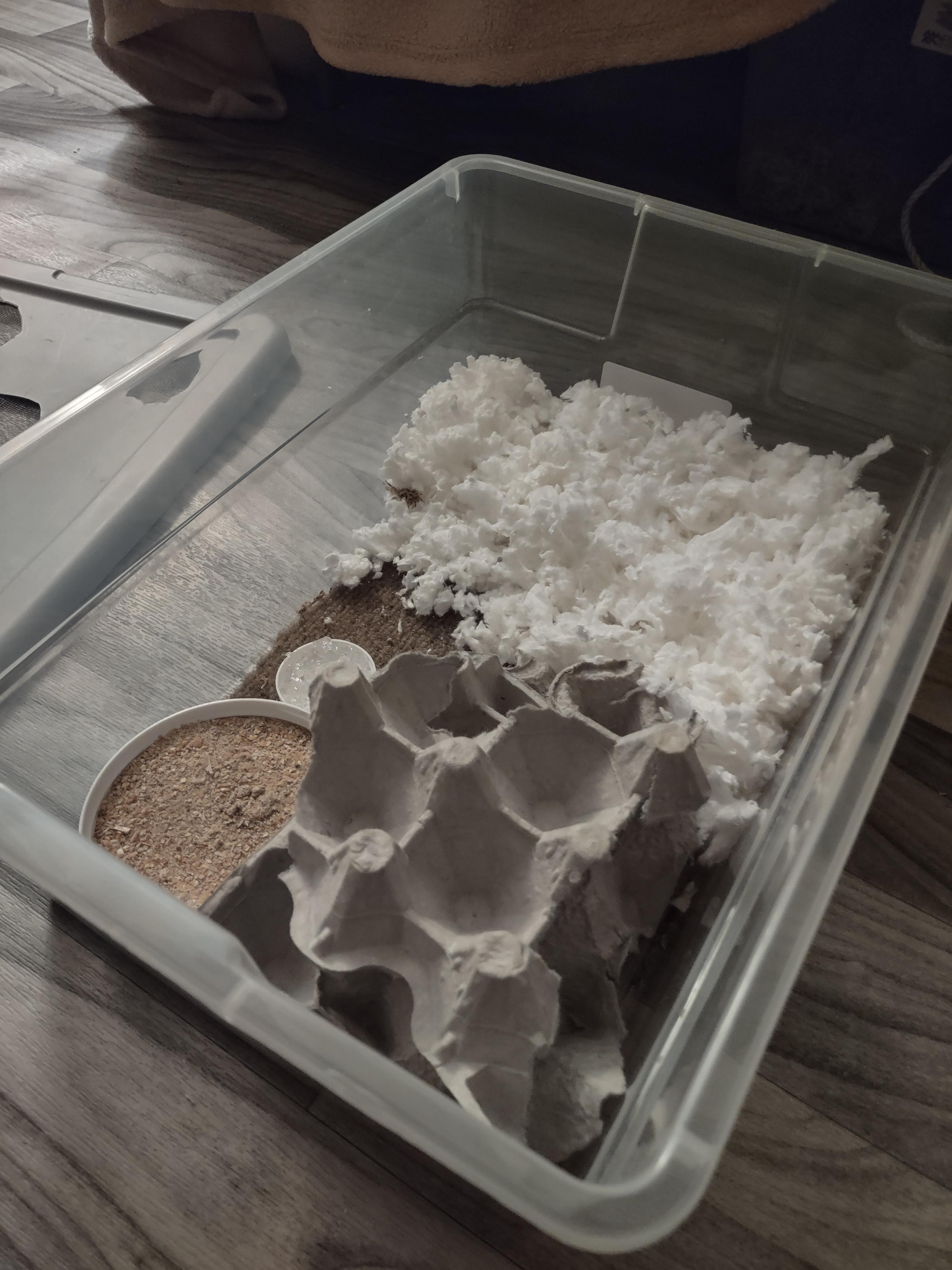 Experimenting with bedding as a replacement for egg crates. Saw a post