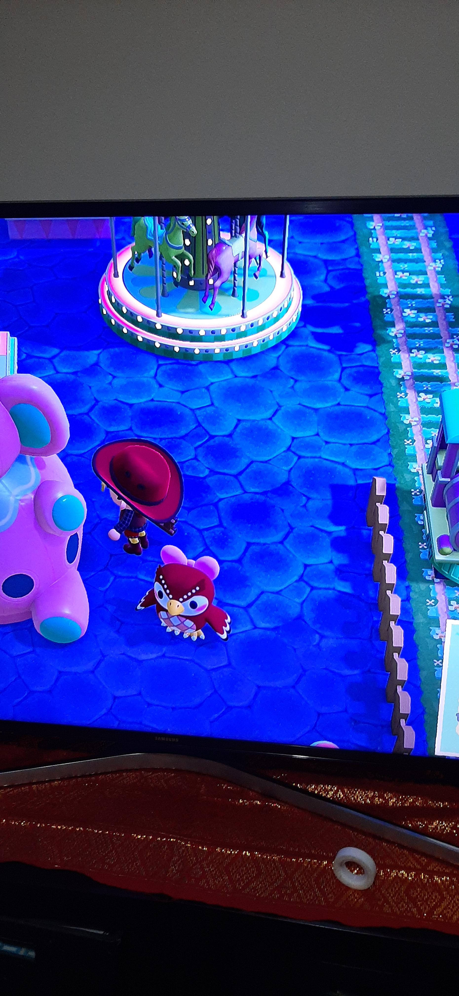 celeste is on my island, there are shooting star, my turnips are 113