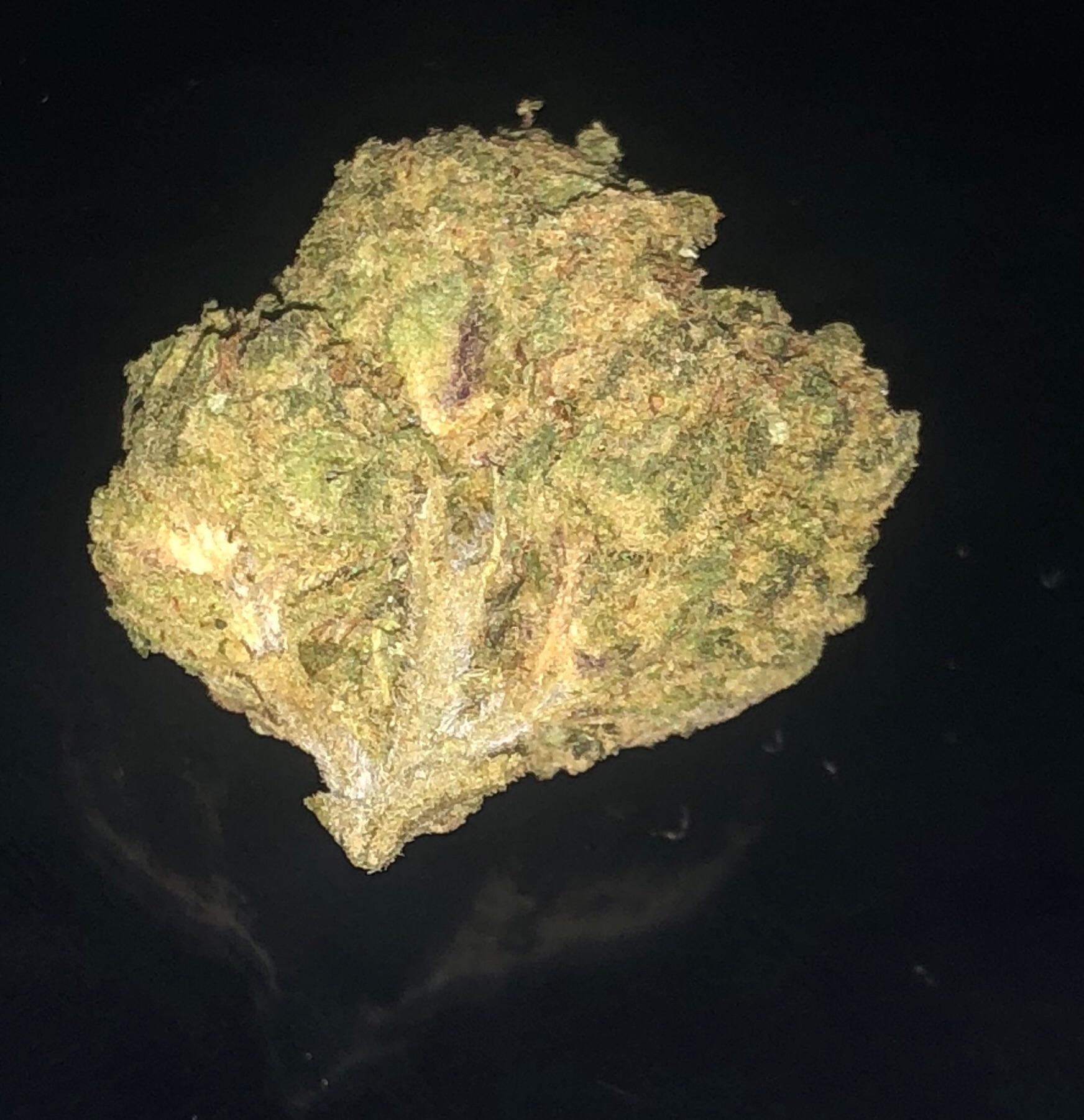 Some more Gorilla Cookies (Gorilla Glue x Girl Scout Cookies) r/weed