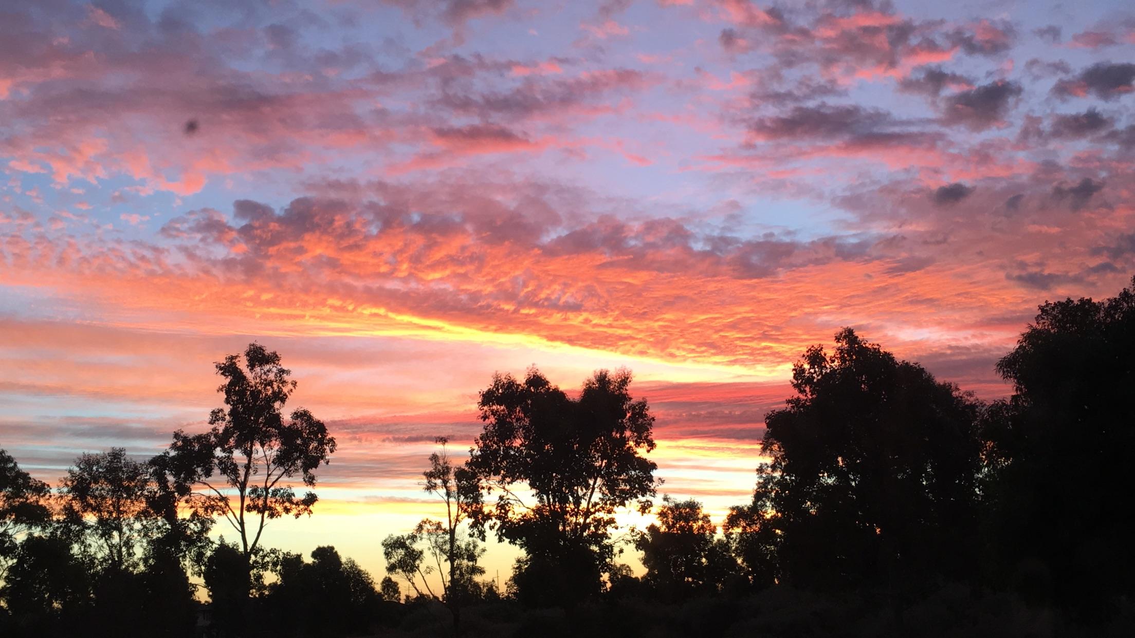 The sunset we had in Melbourne tonight! r/melbourne