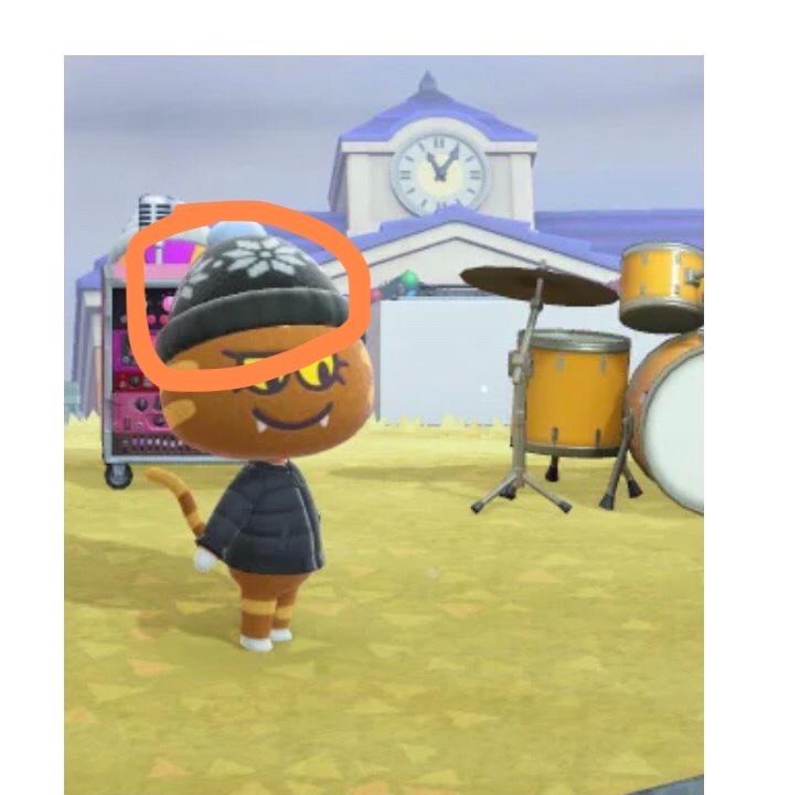 Does any one know how to get these hats all my villager have them but I can’t find them any