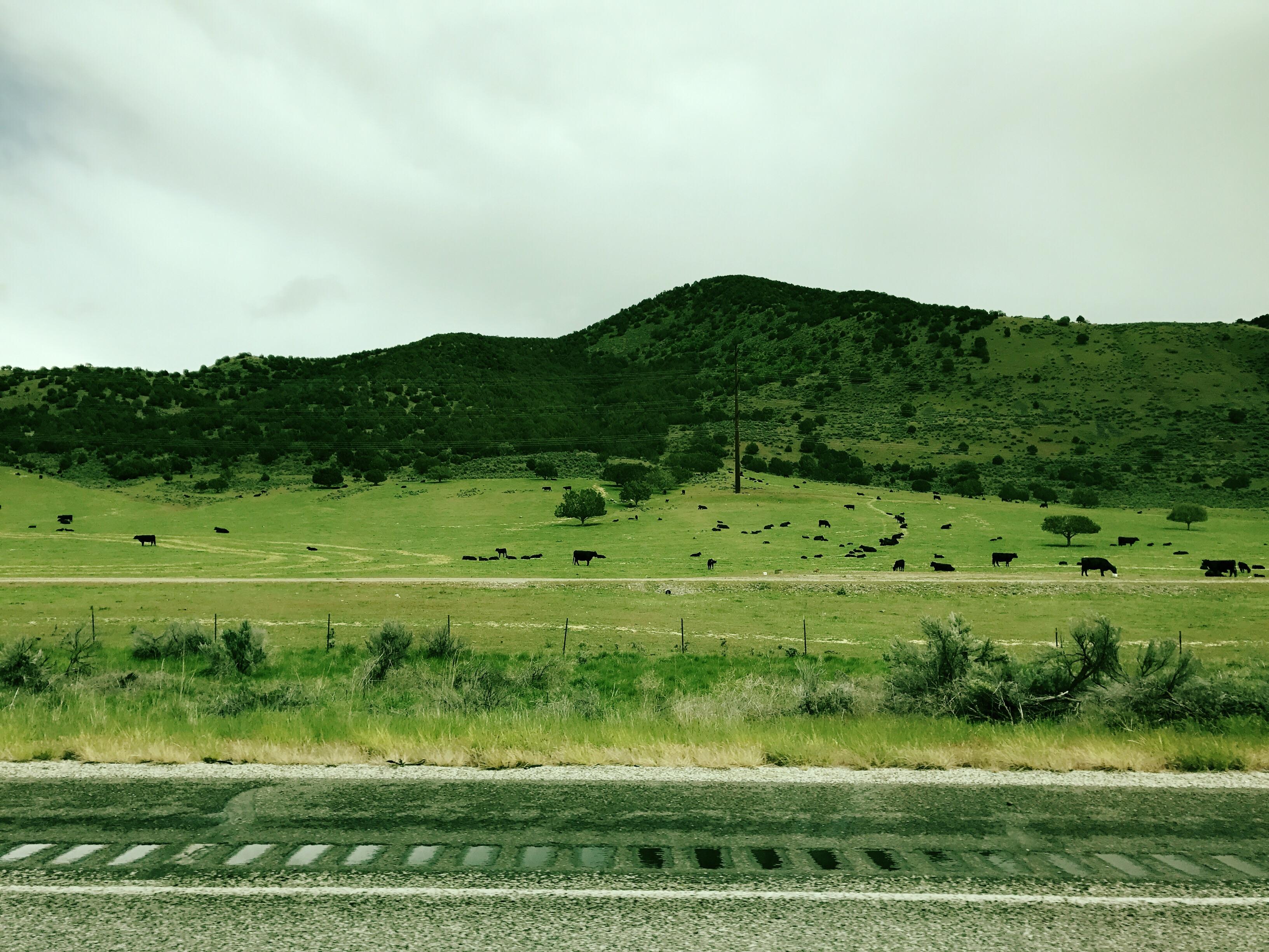 Malad City, Idaho r/pics