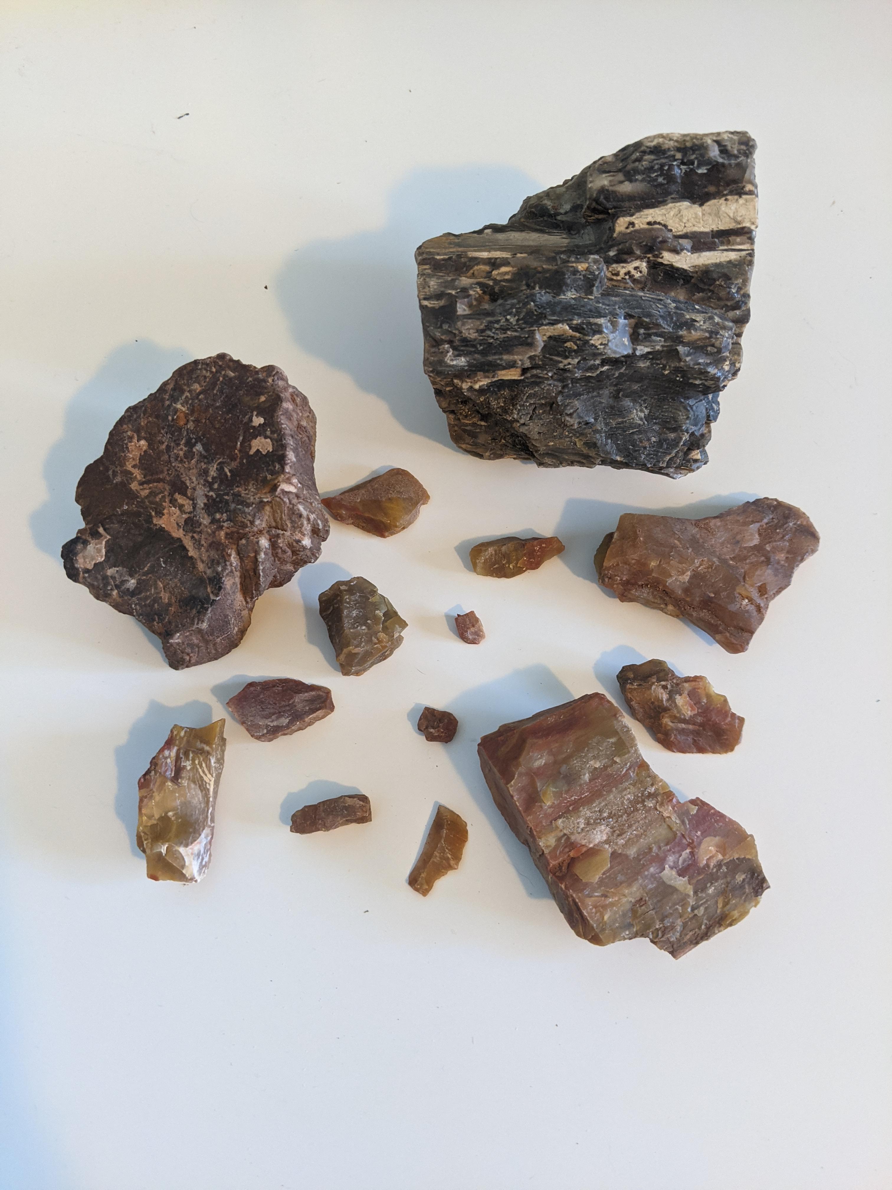 My petrified wood collection r/geologyporn