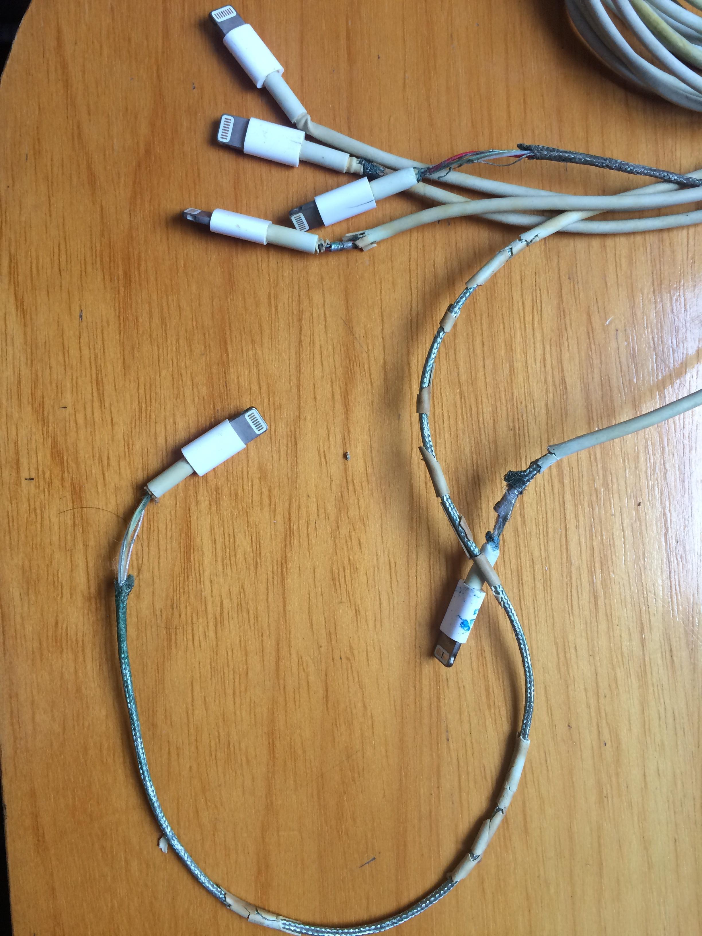 I may have a problem with Apple cables r/techsupportgore