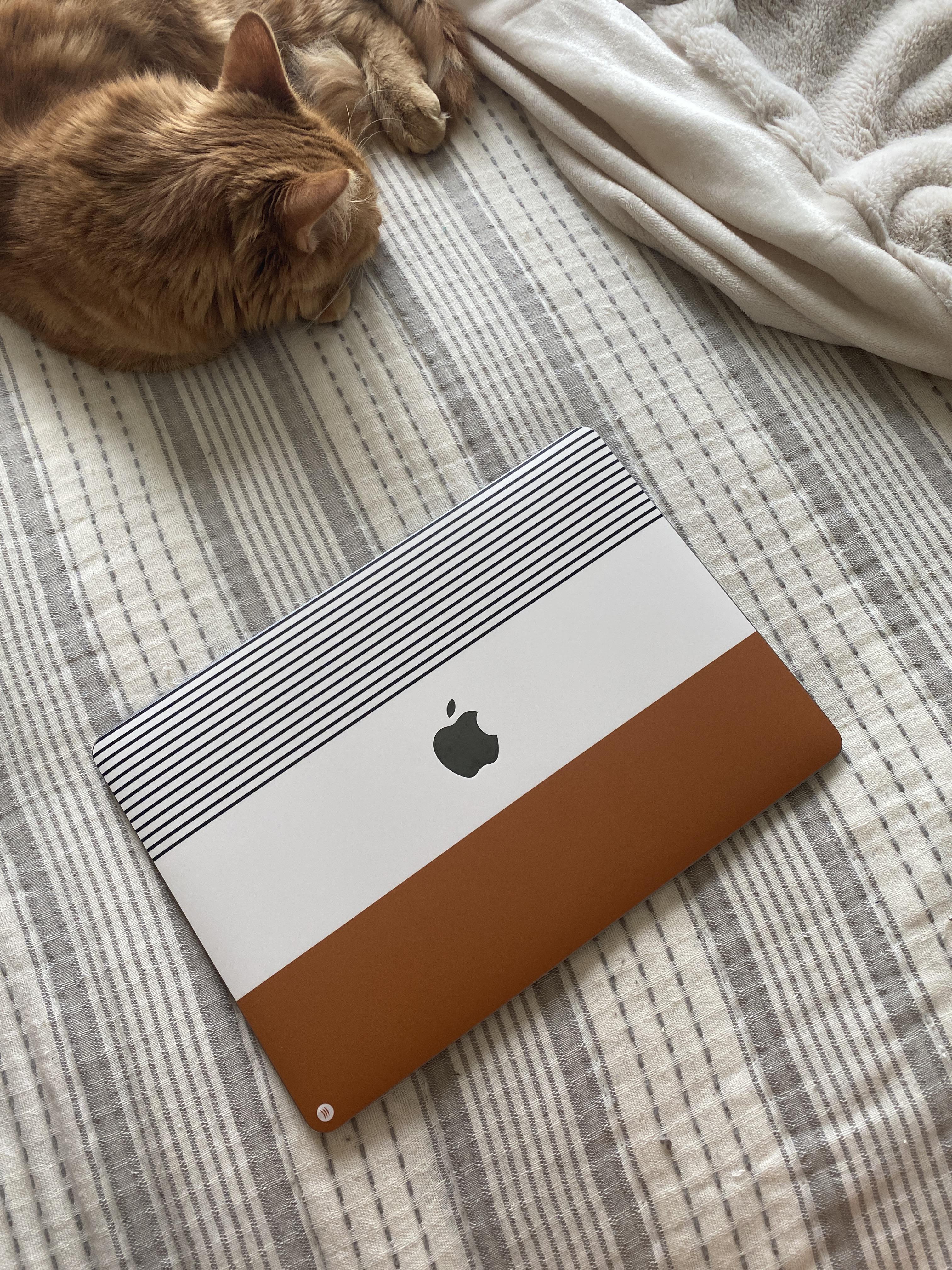 New skin for my macbook ft my cat r/macbookpro