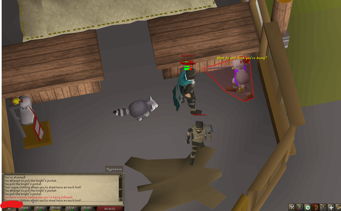 I just got my first pet at ardy knights! r/2007scape