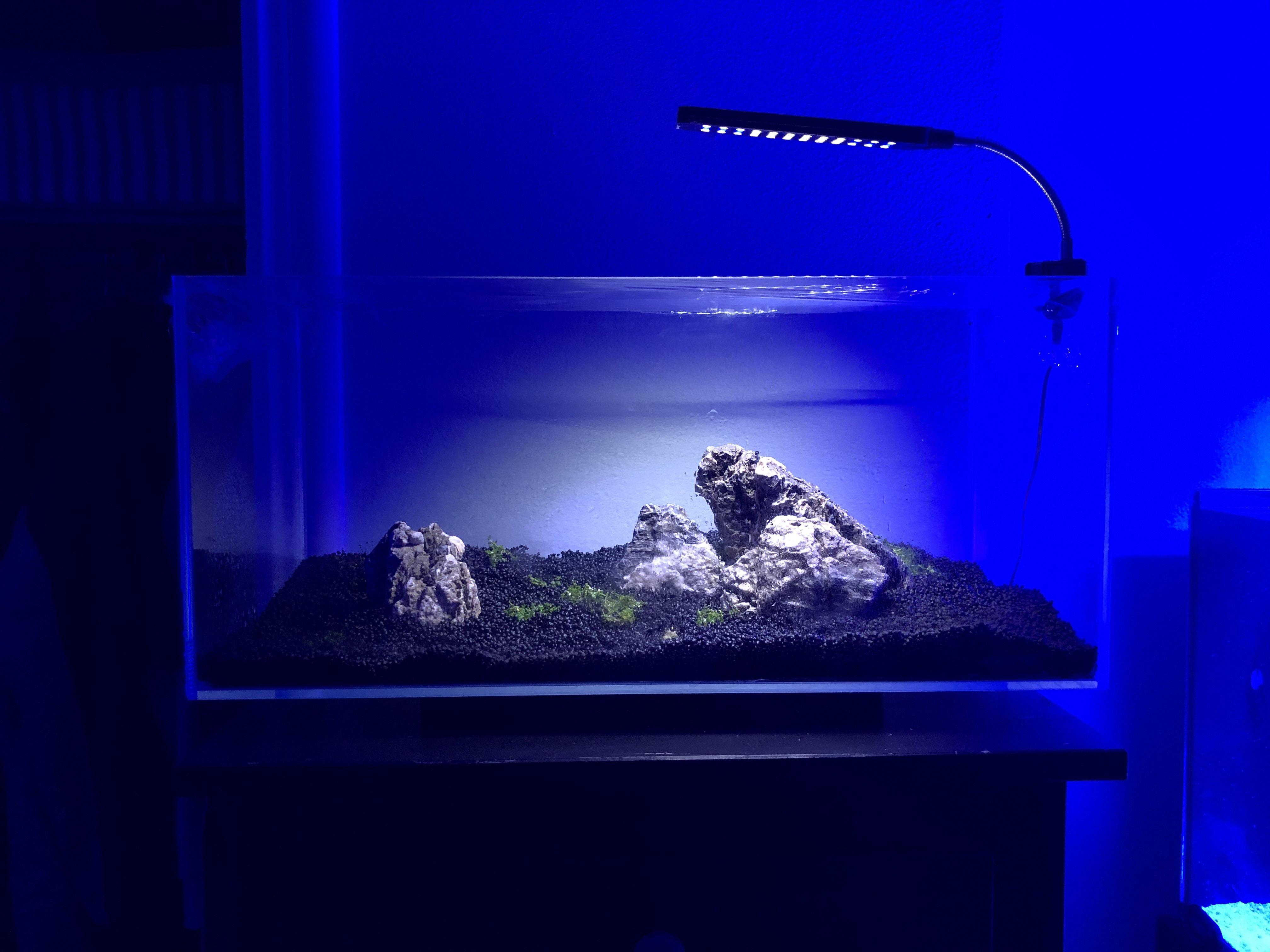 12gallon nano shrimp tank in construction ) r/PlantedTank