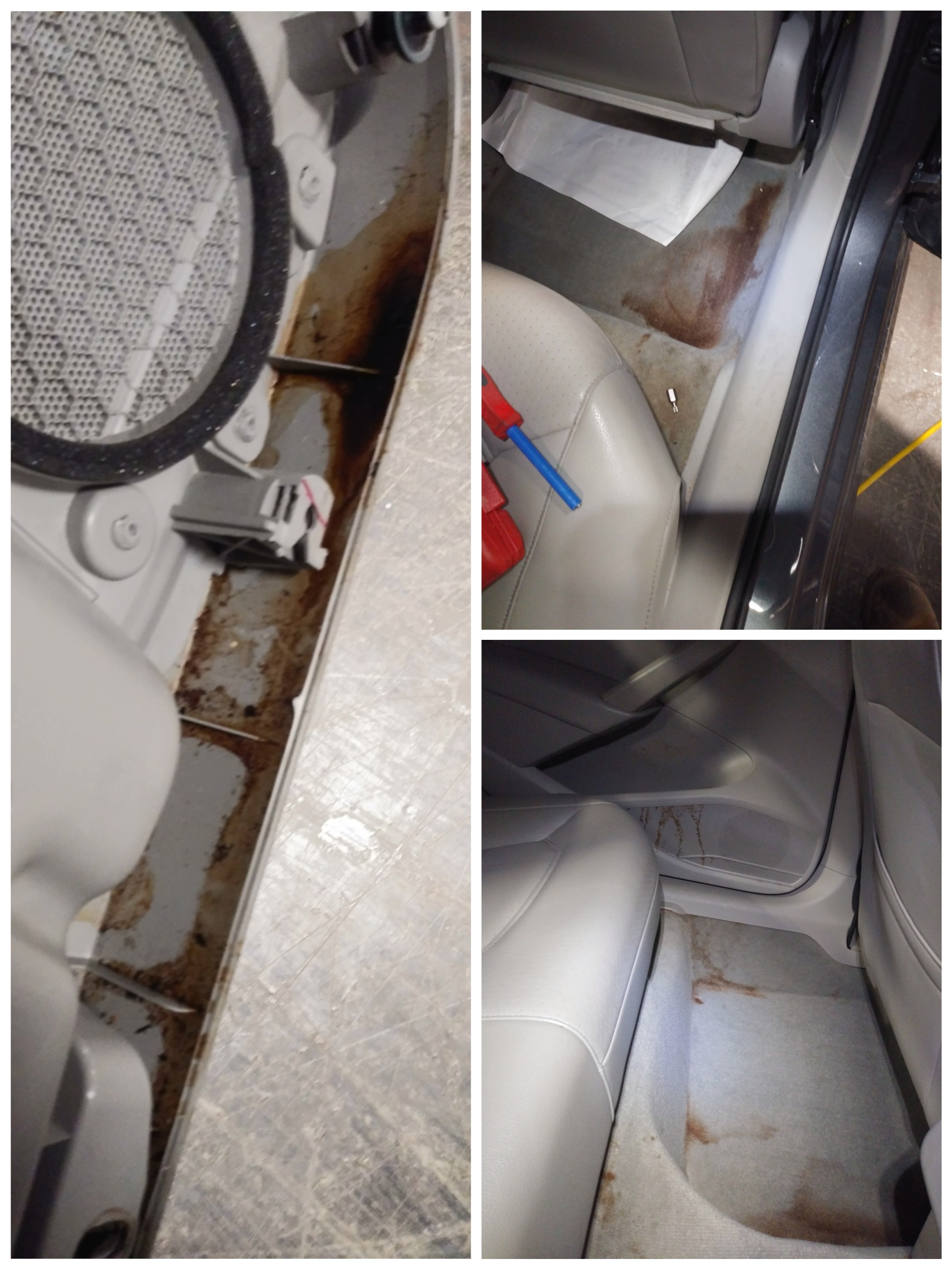 C/S Right Rear door electrics not working. Yeah, I bet. Gross r