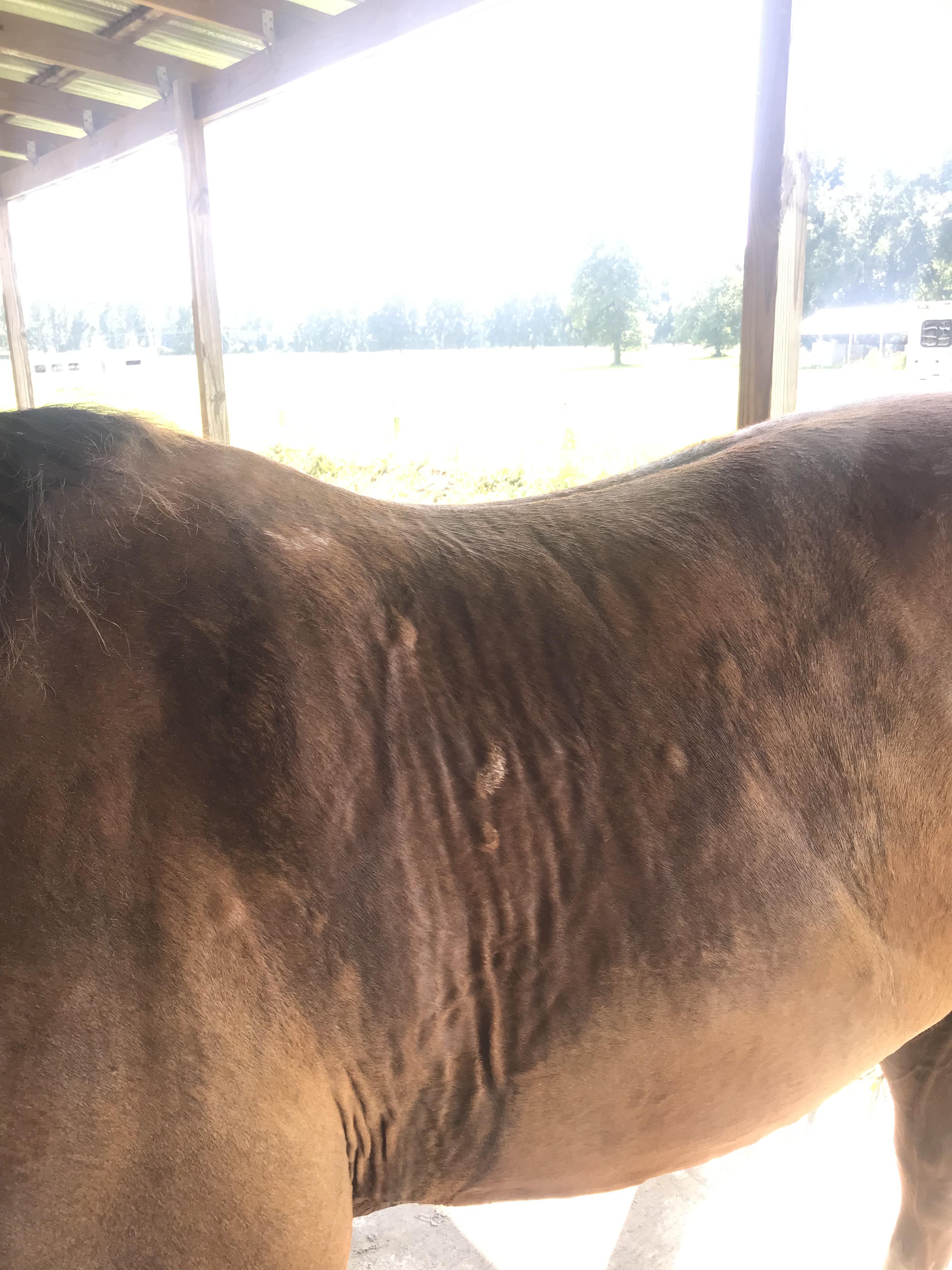 I’ve been reading a lot about how sweat marks indicate how well your