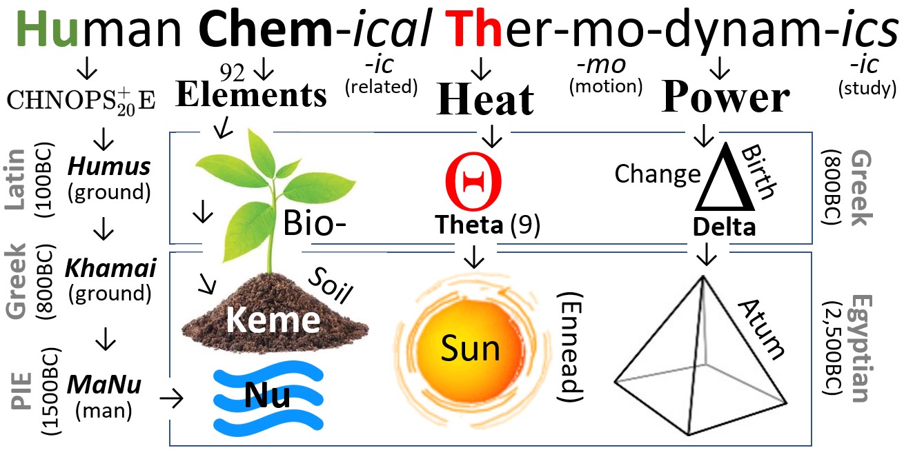 Human chemical thermodynamics (etymology) r/Hmolpedia