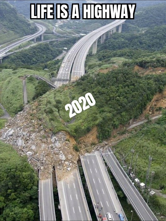 "I wanna ride it all night long" r/memes