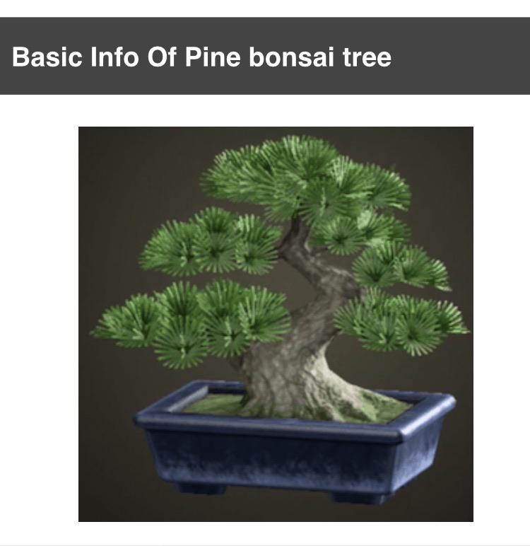 In search of bonsai trees! r/AnimalCrossing