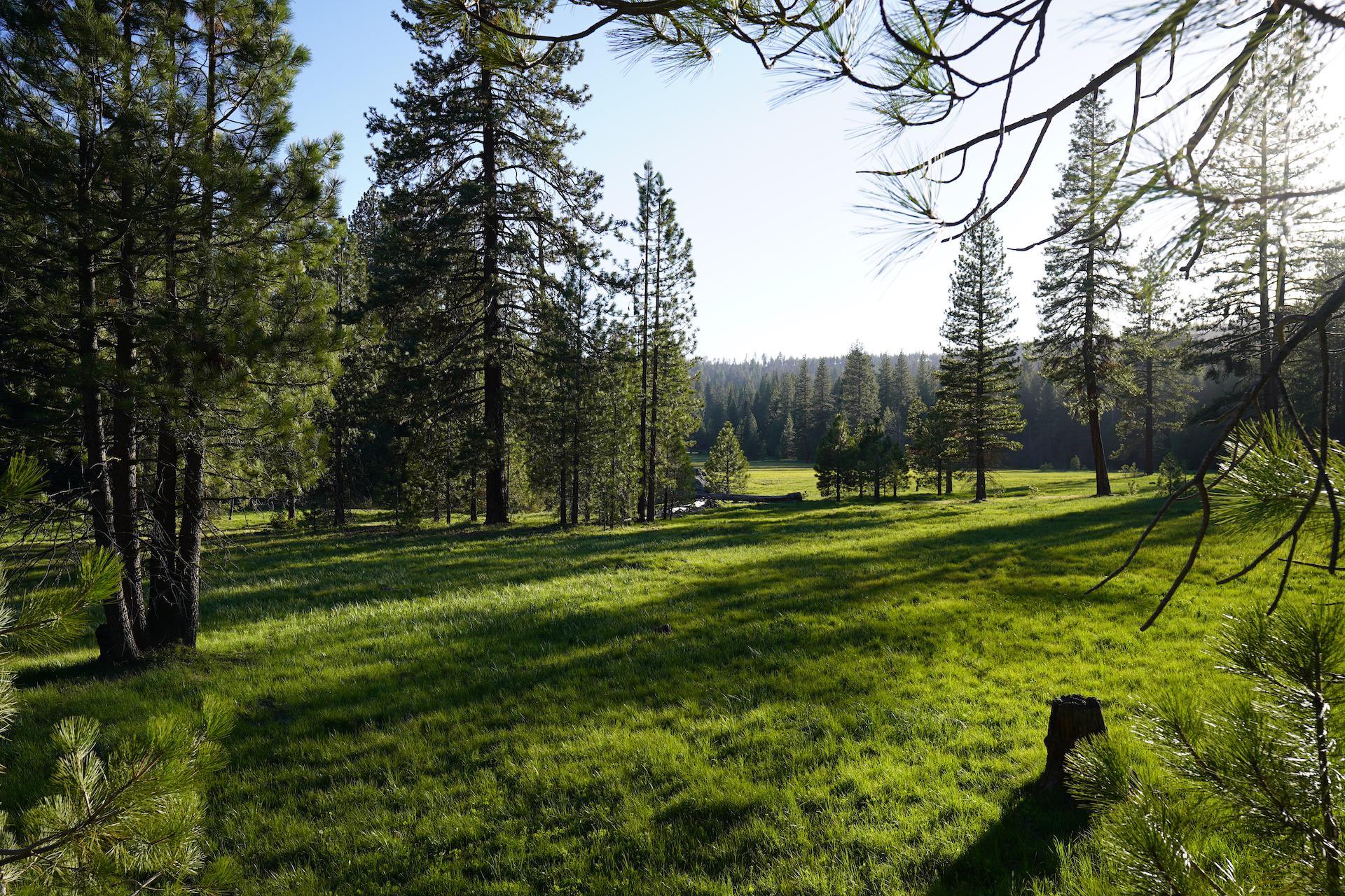 Princess Meadow, CA [OC] [1920x1080] EarthPorn