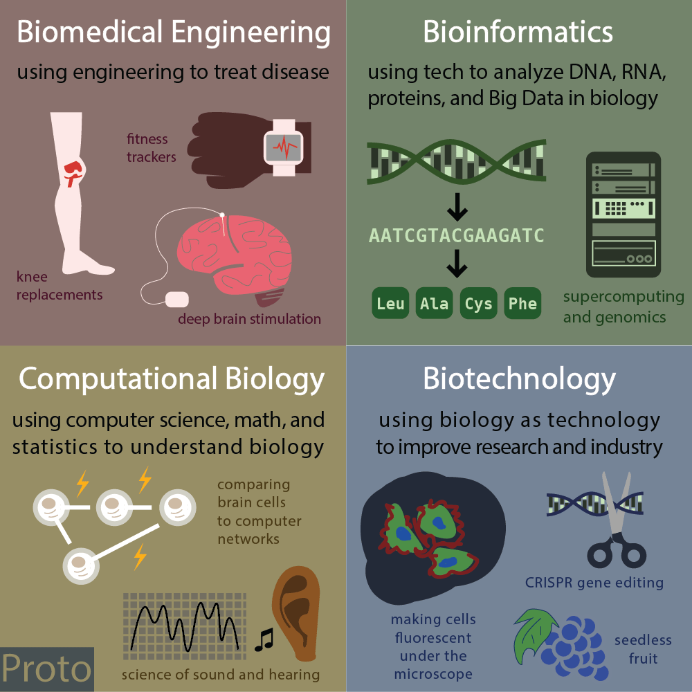 Biomedical Engineering vs. Bioinformatics vs. Computational Biology vs