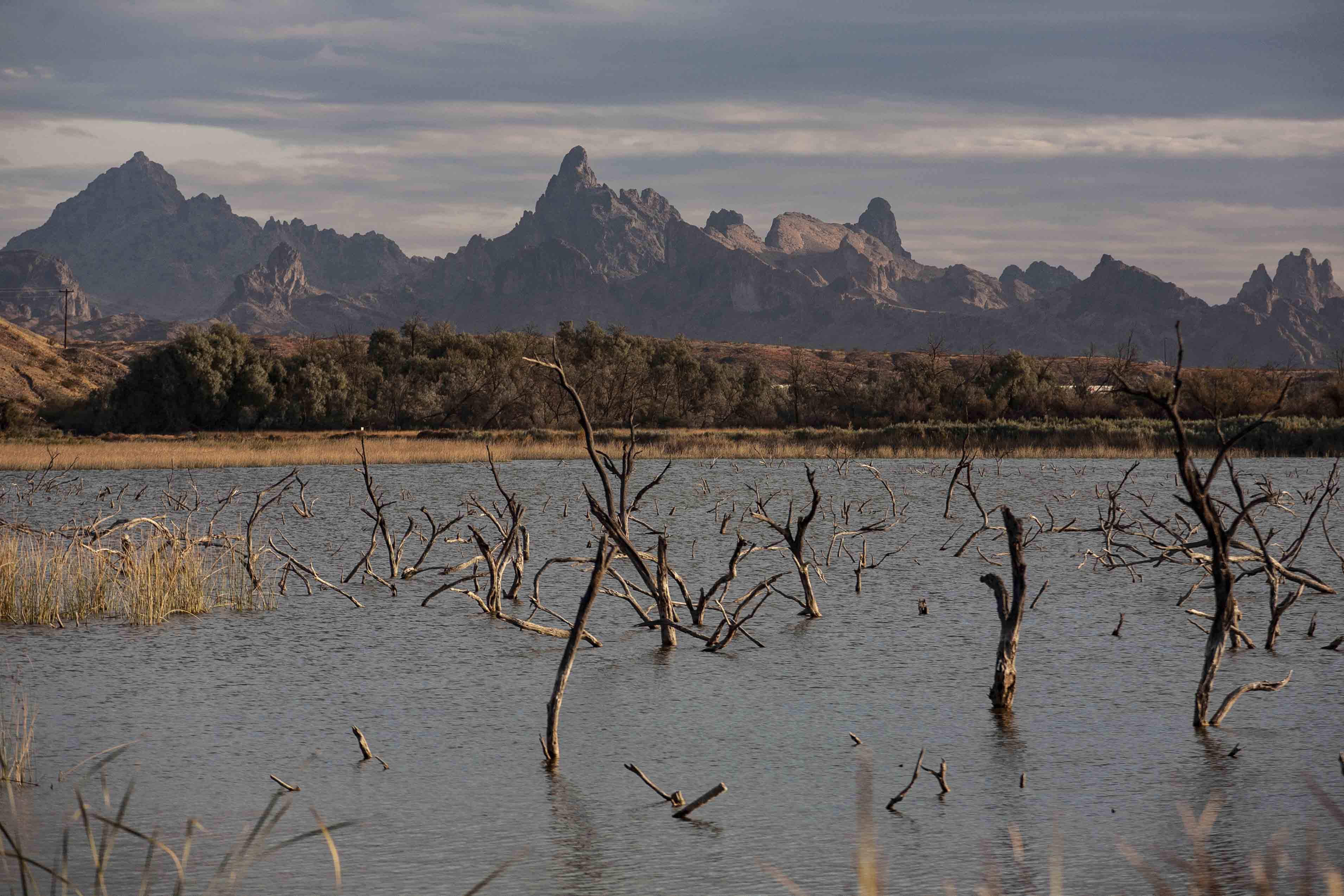 Sunset on Catfish Paradise I'm Arizona's West Coast r/arizona