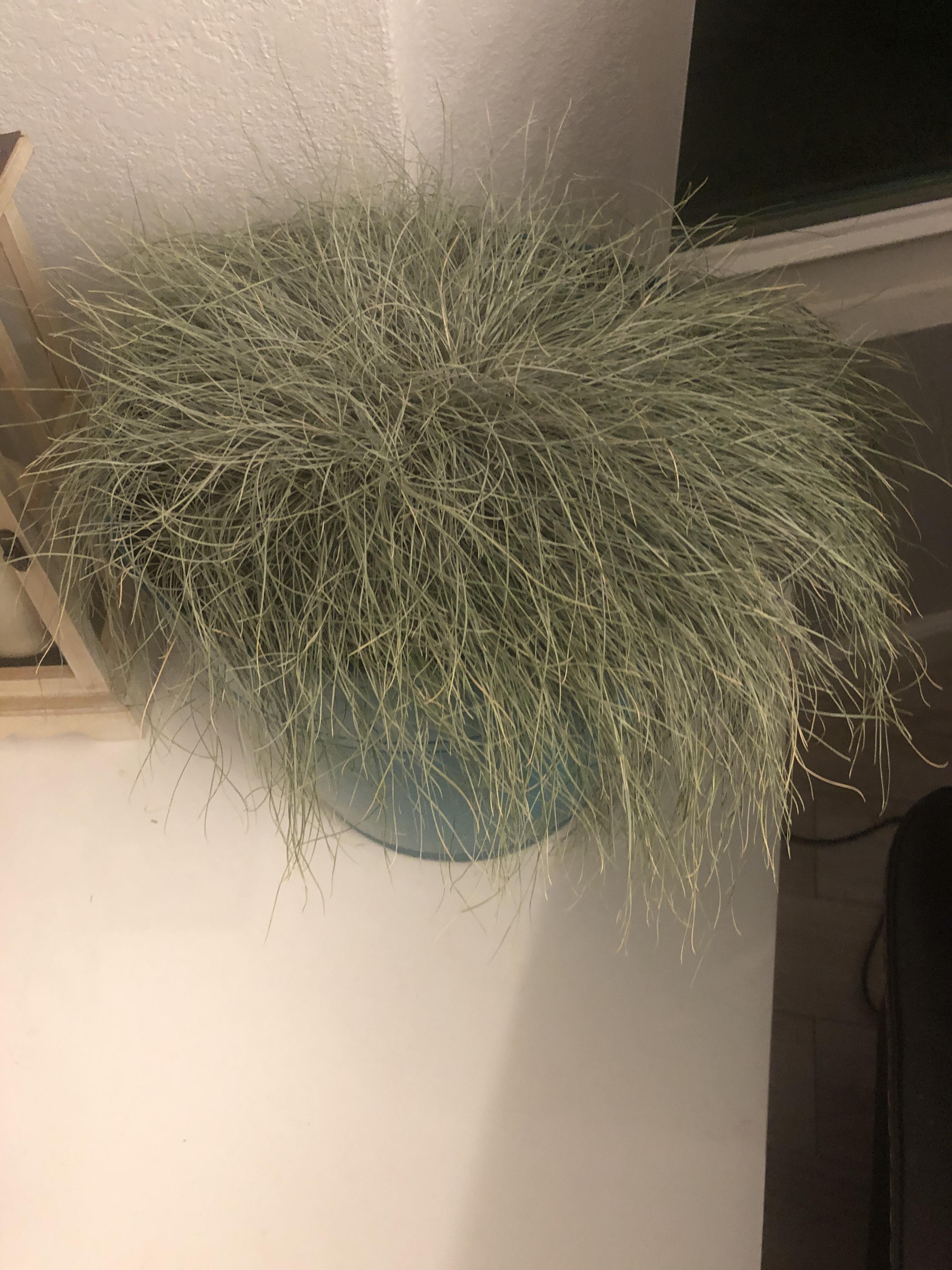 Y'all were so helpful, I figured I'd ask on one more. Can easily pull