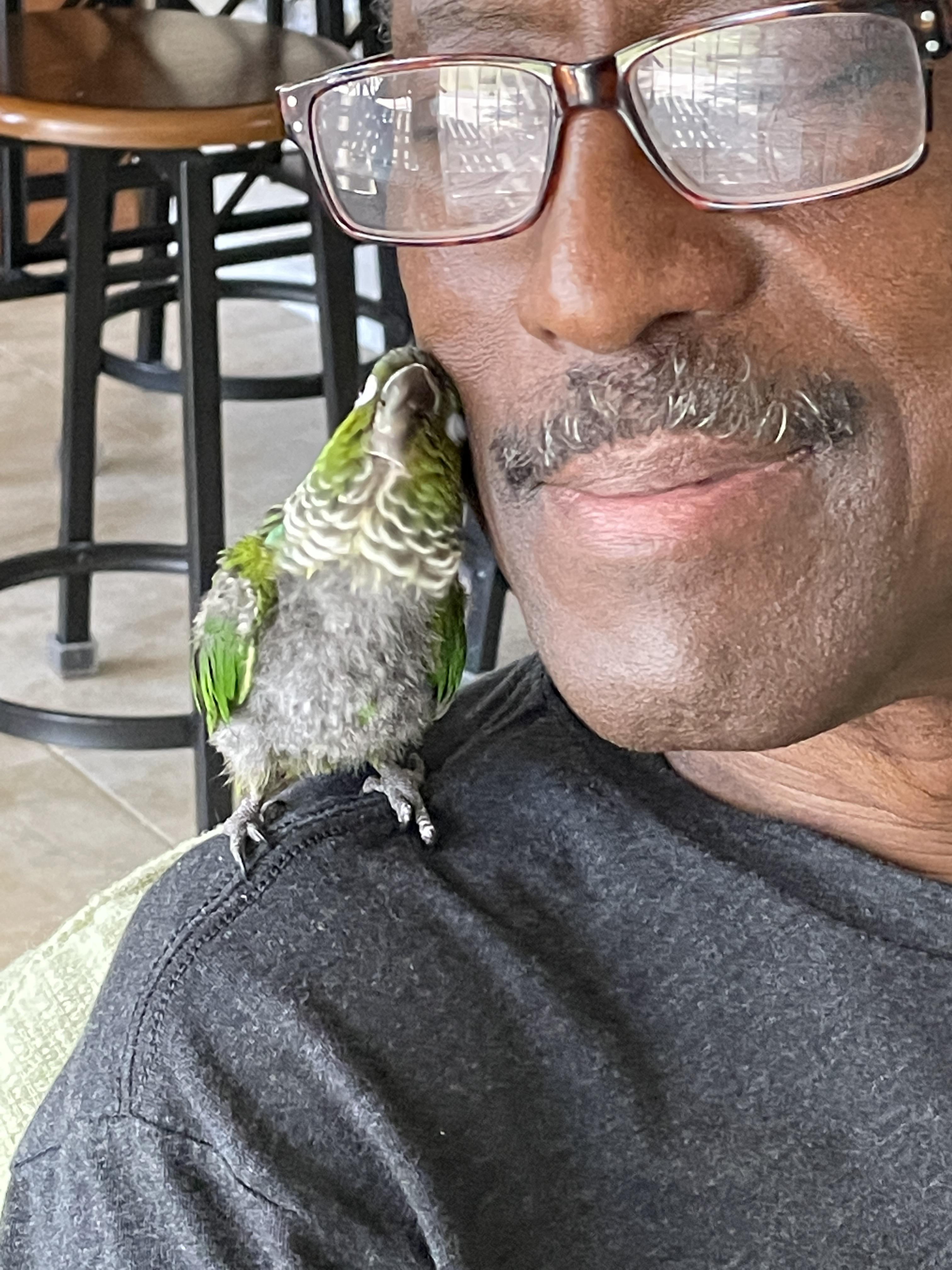 Training and Snacks Conures