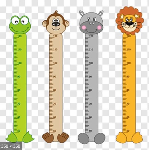 Animal measuring charts r/mildlypenis