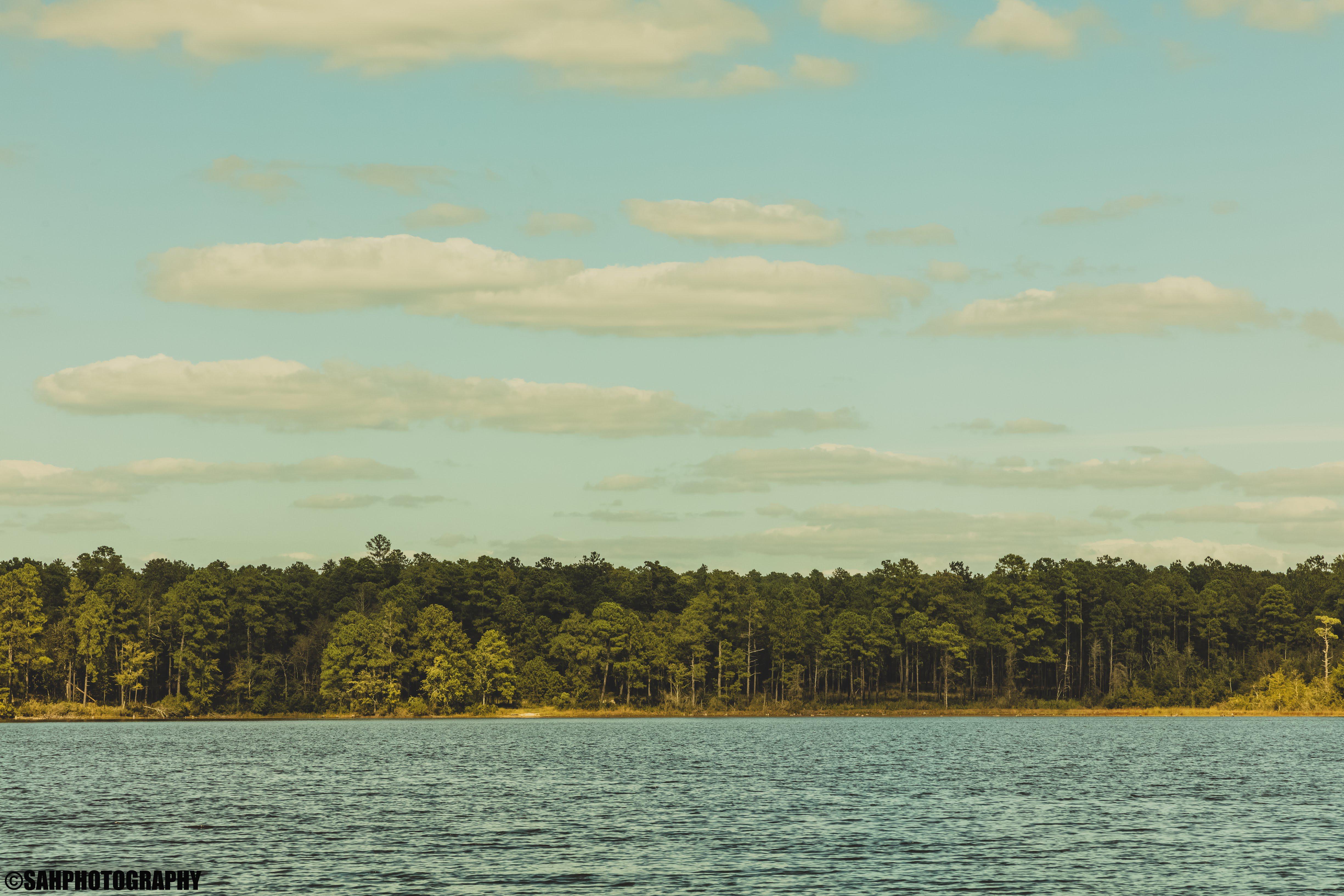 A beautiful view of Mott Lake in Ft Bragg NC. [OC] [4899x3266] r