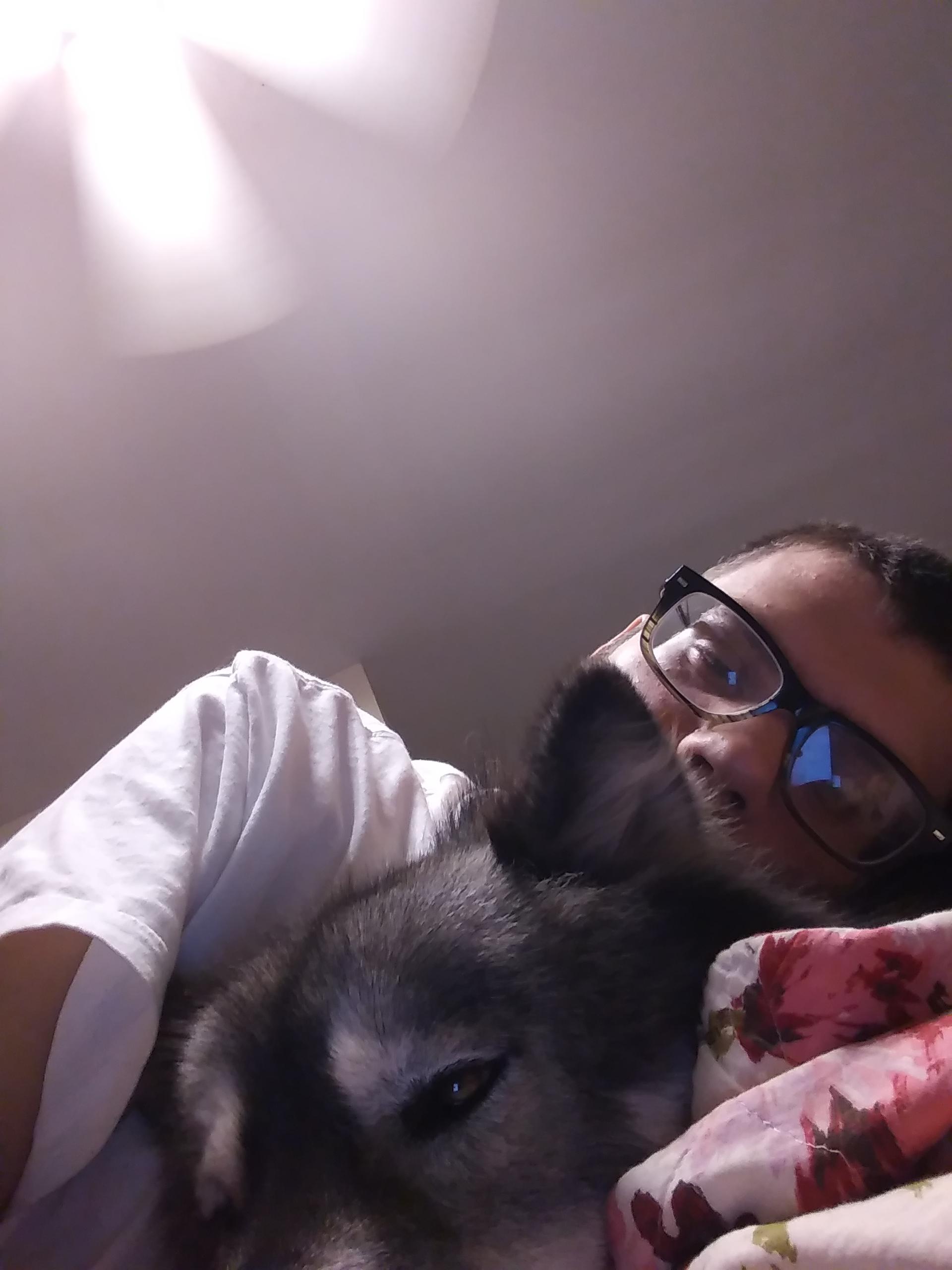 Best Pillow r/MadeMeSmile