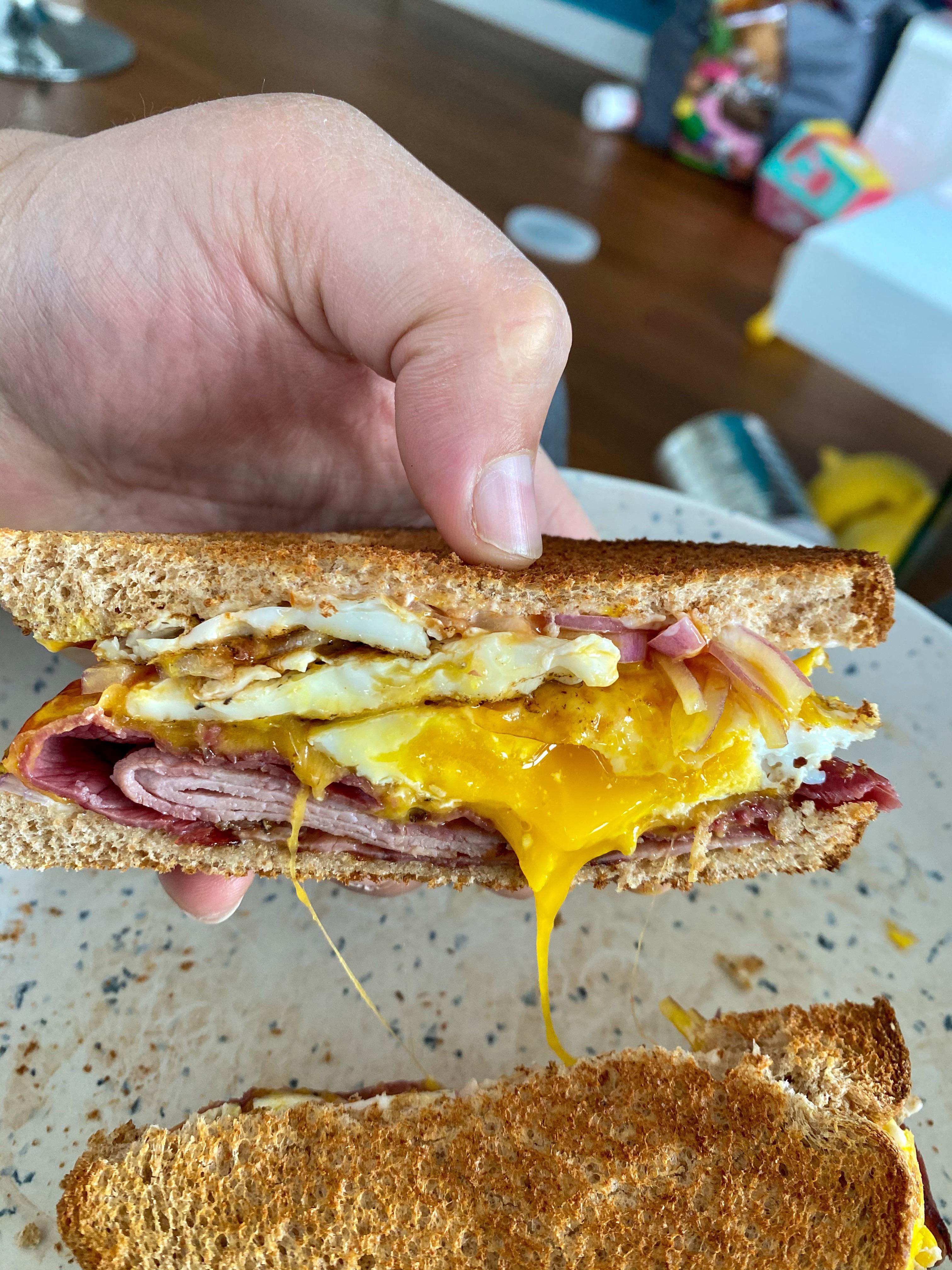 [homemade] pastrami, egg, Virginia ham, raw red onions and cheddar