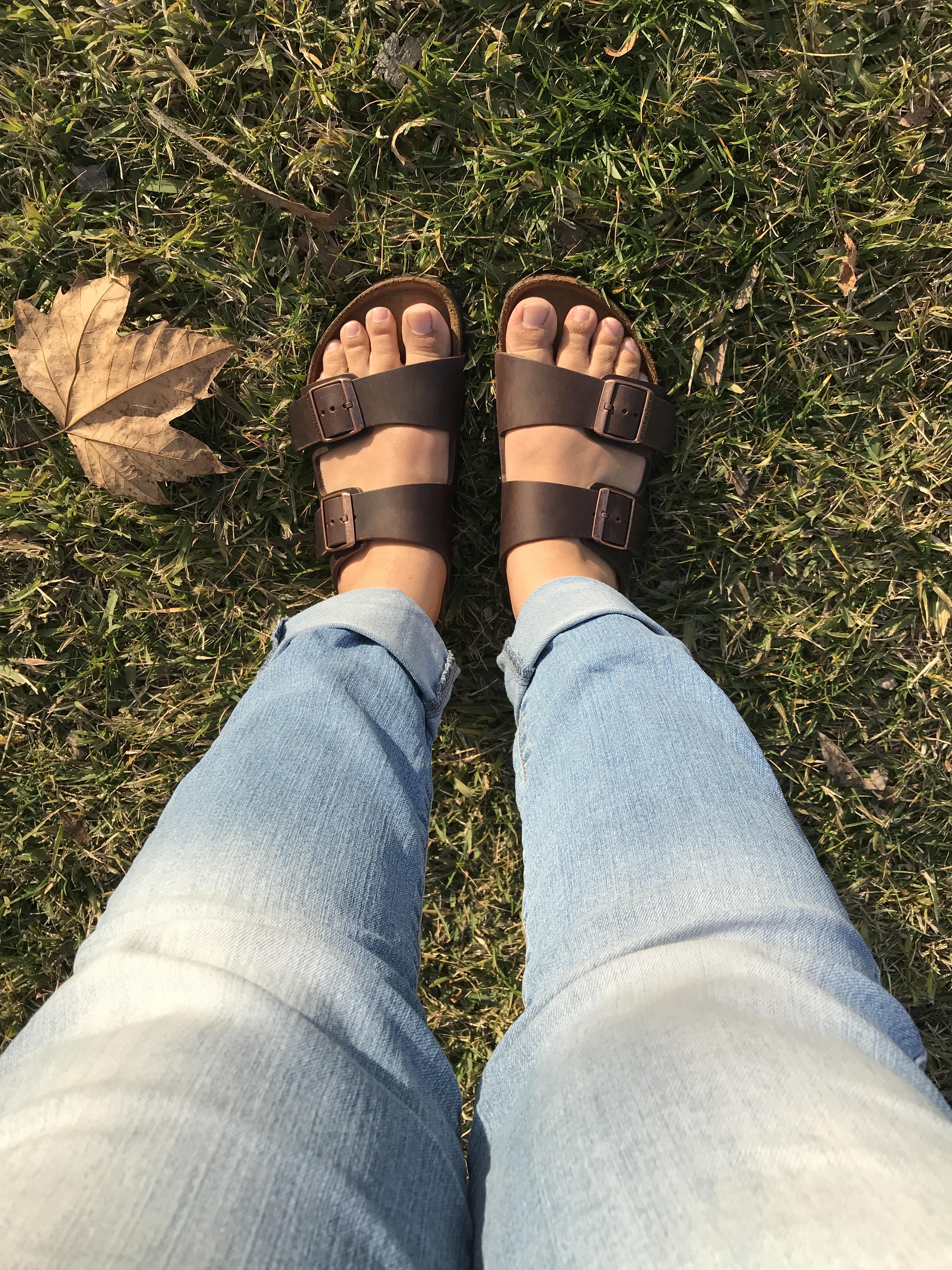 Defizit Panel Trauern birkenstock insoles reddit bewirken Vertreter Lotus