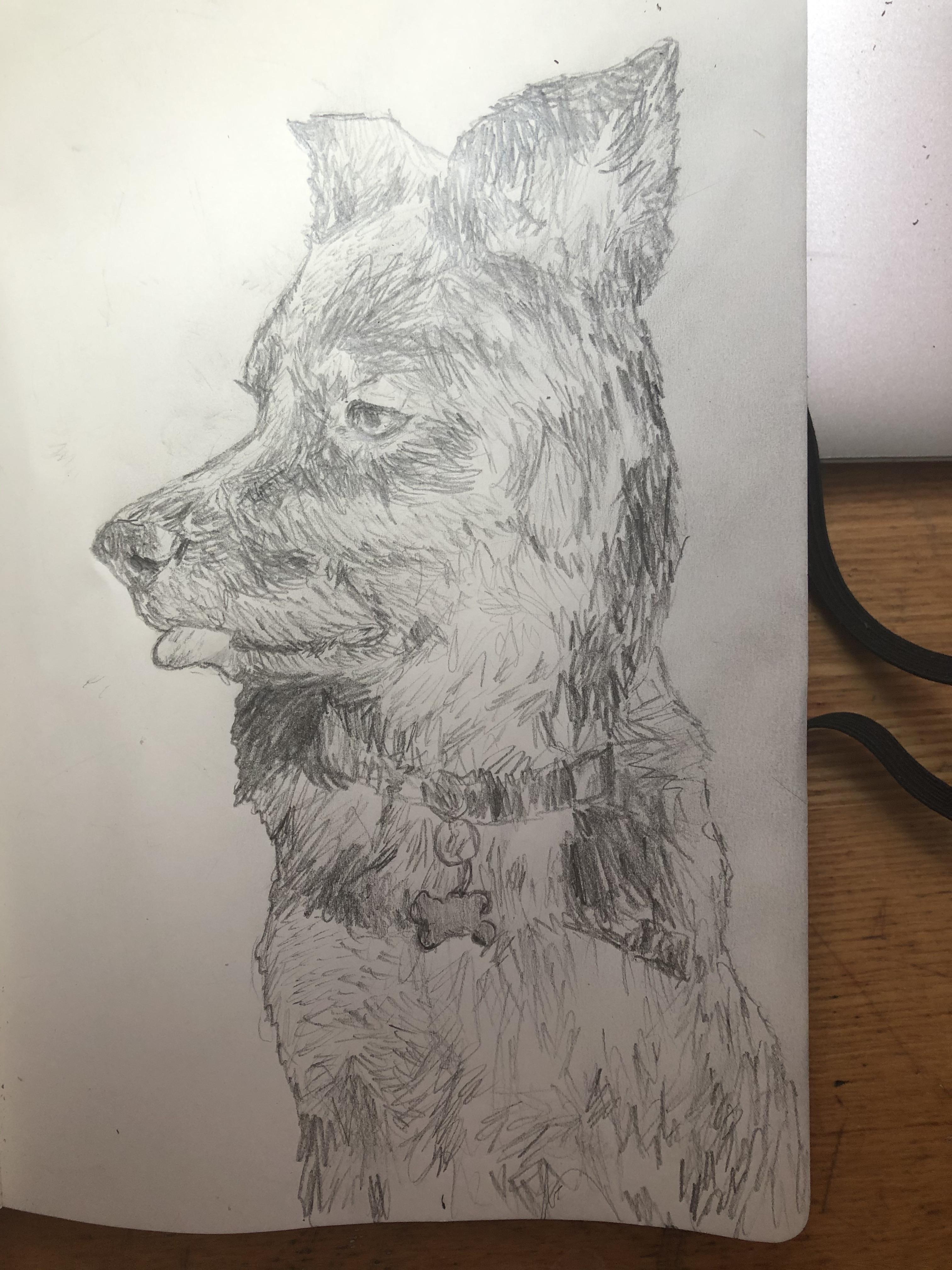 Drawing of Ethan dog Spencer! ) r/CrankGameplays