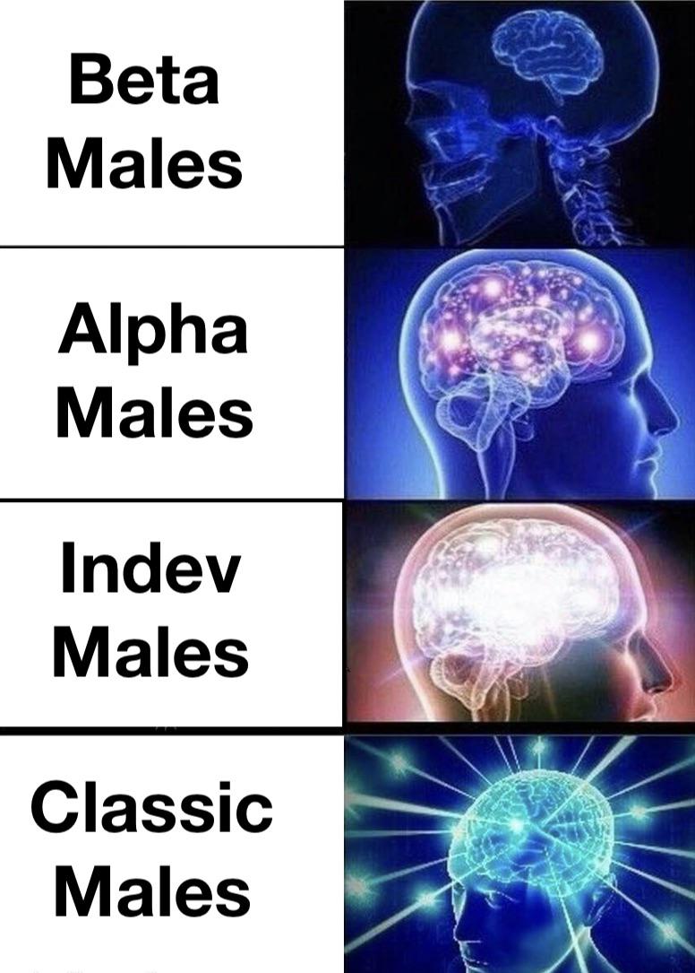 6620 best Backwards images on Pholder Pewdiepie Submissions, Animemes and Goodanimemes