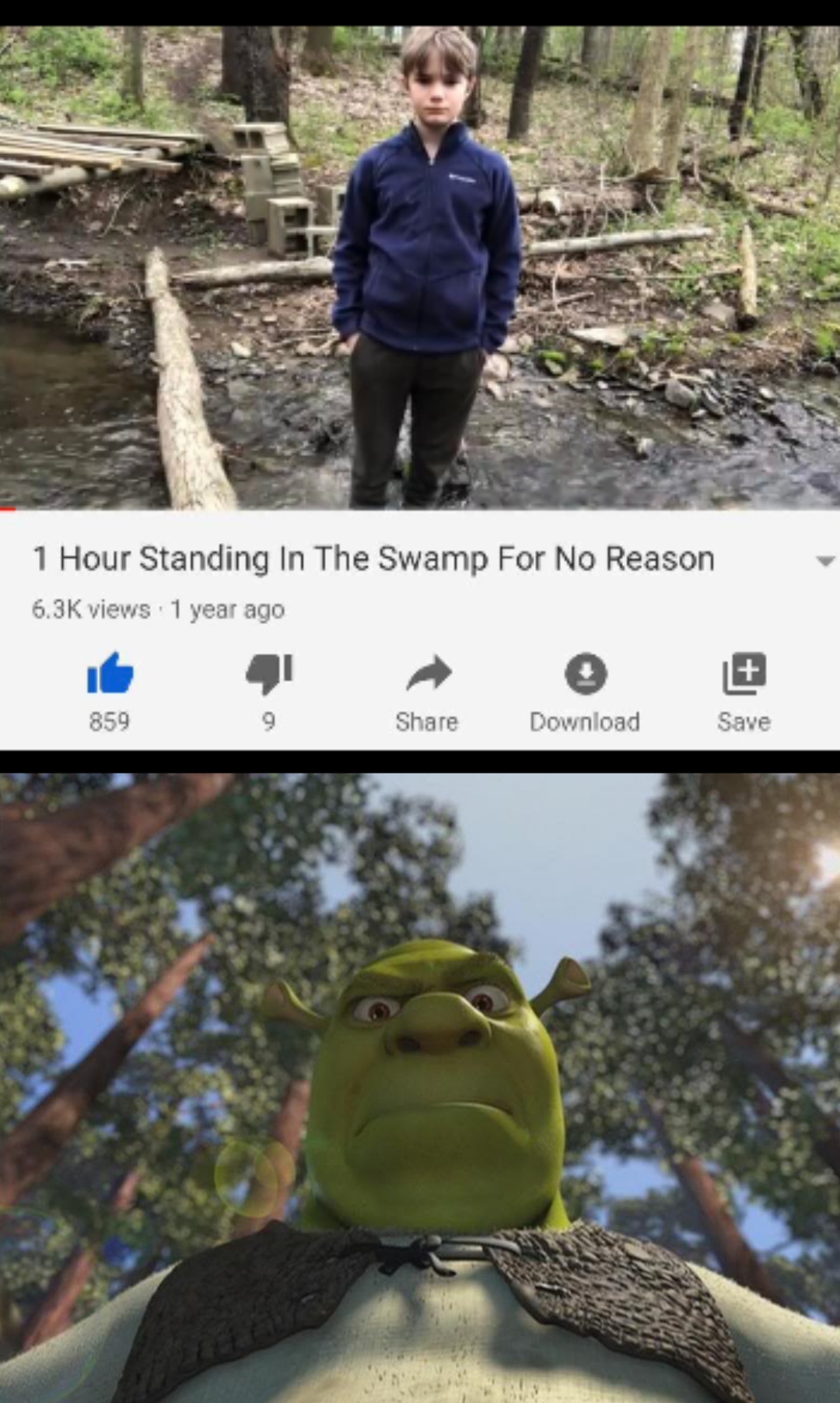 What Are You Doing in My Swamp? r/Shrekmemes