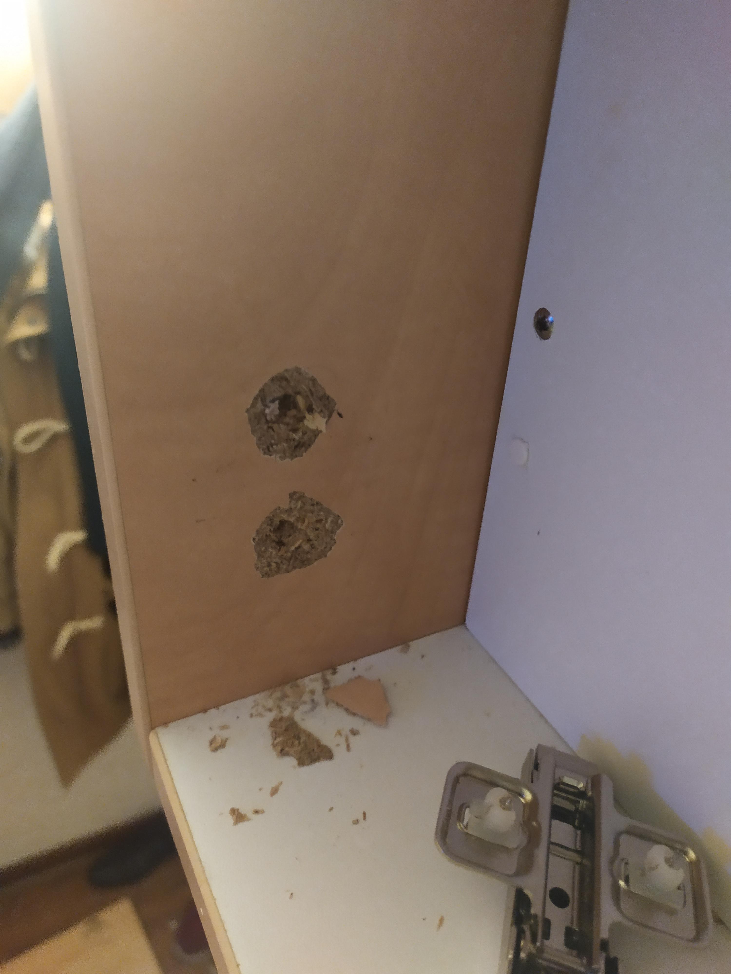 I hit my head against the door, breaking the hinges off along
