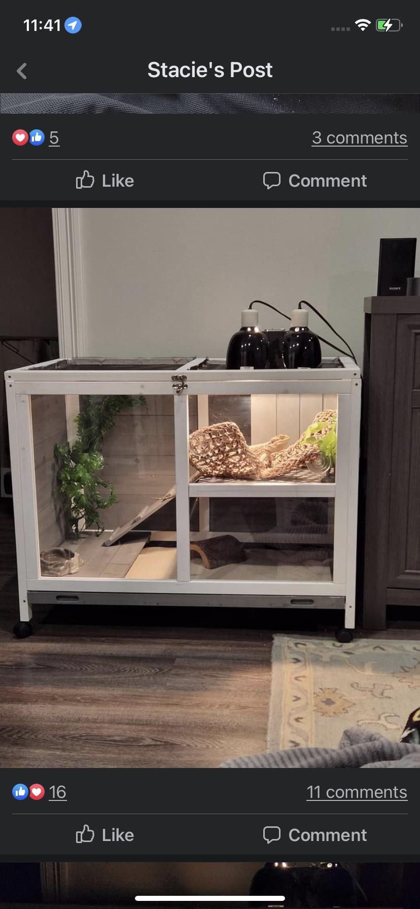 I want to build a new tank for my bearded dragon (and possibly one for