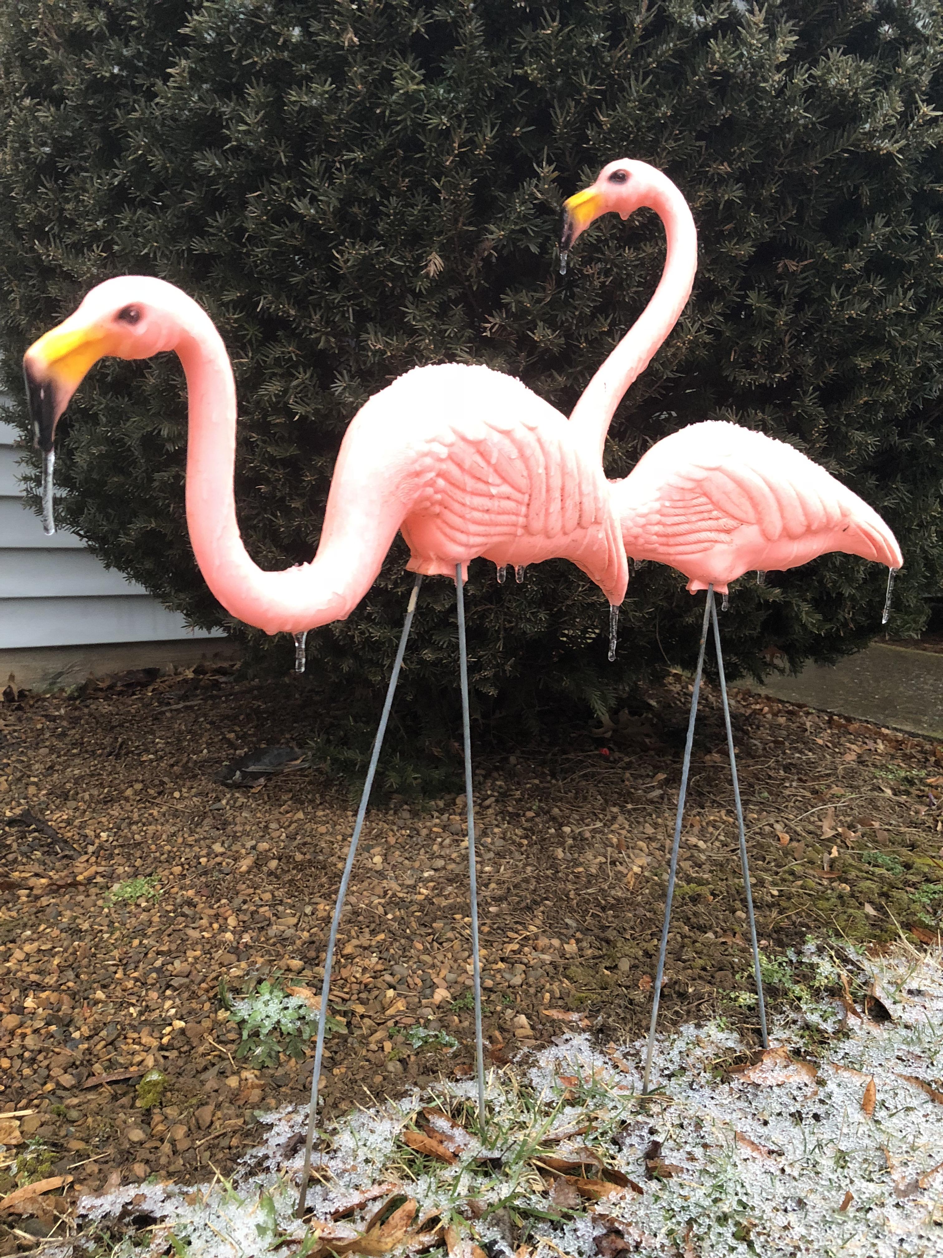 A nice thrifty icy morning. Picked up these original 50s pink plastic