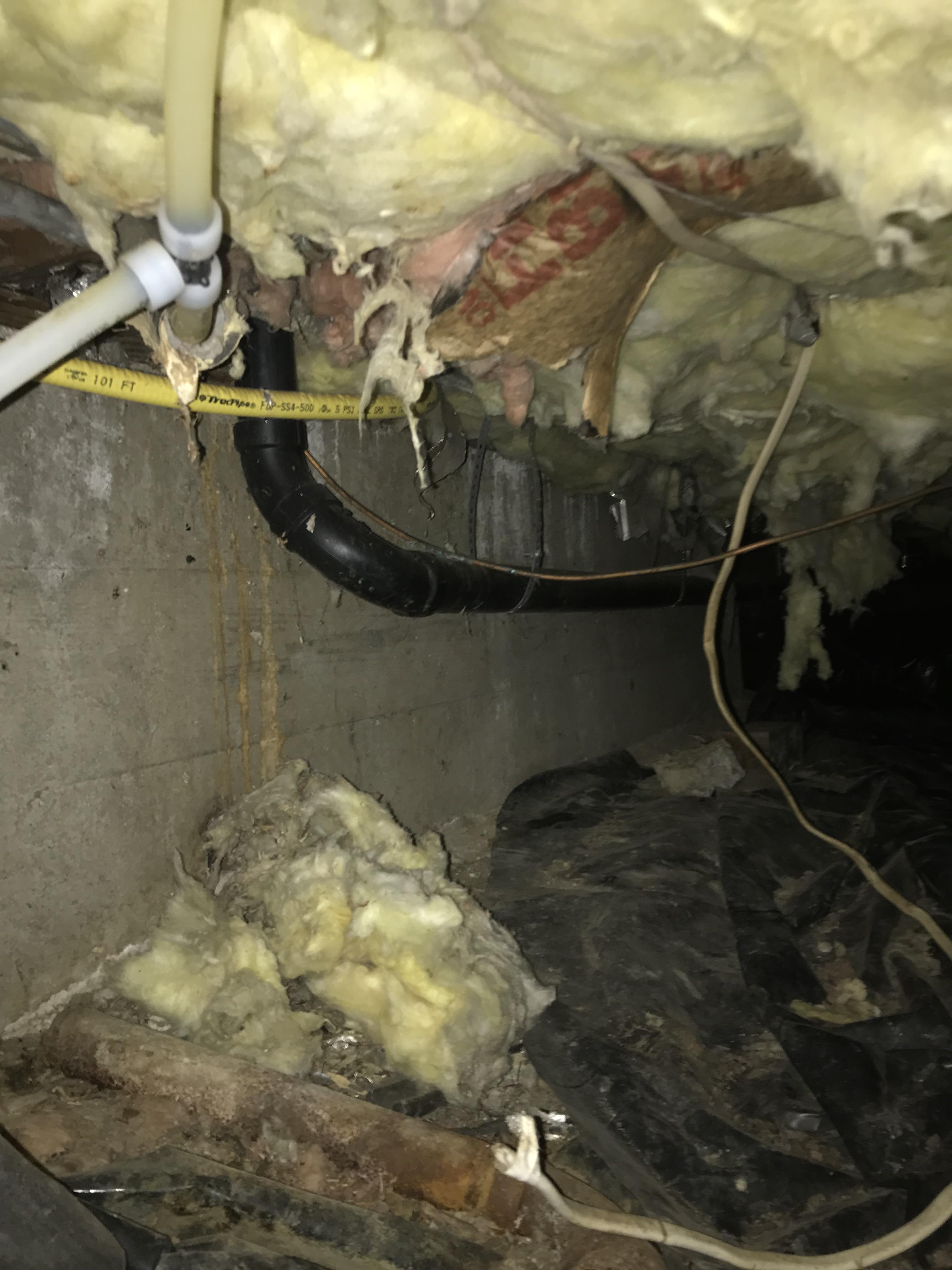 Sink drain too low in crawl space options to raise it? r/Plumbing