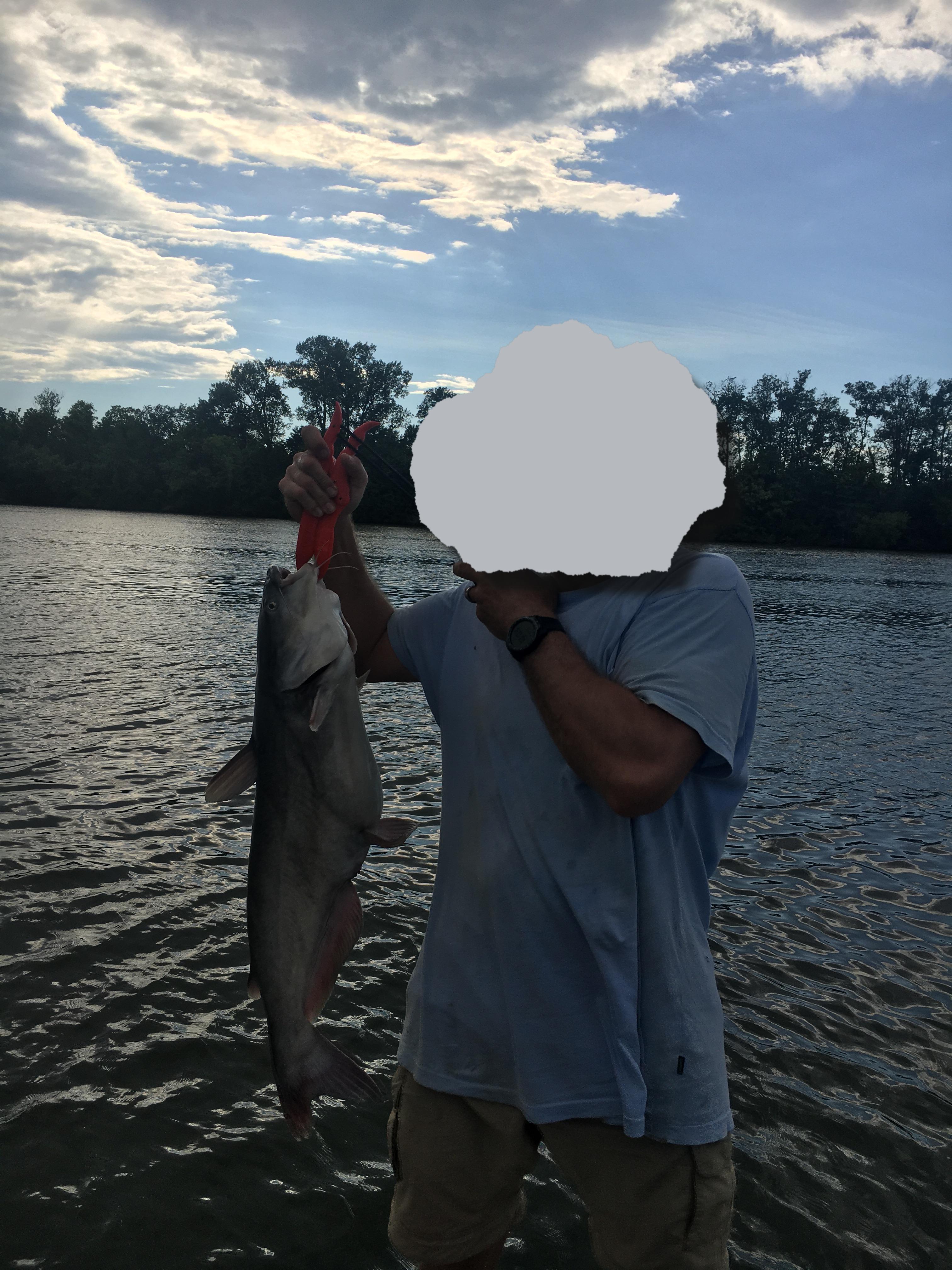 Caught in Missouri. Blue cat.14lbs 6oz. Ton of fun! r/catfishing