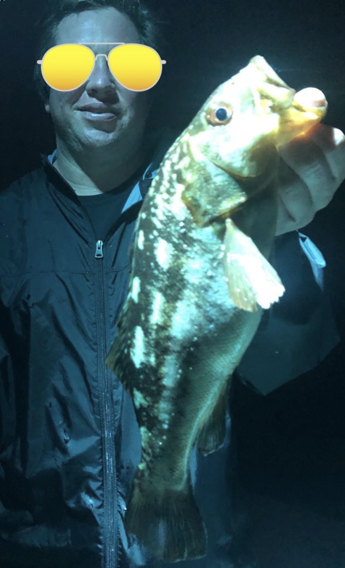 Calico bass r/bassfishing