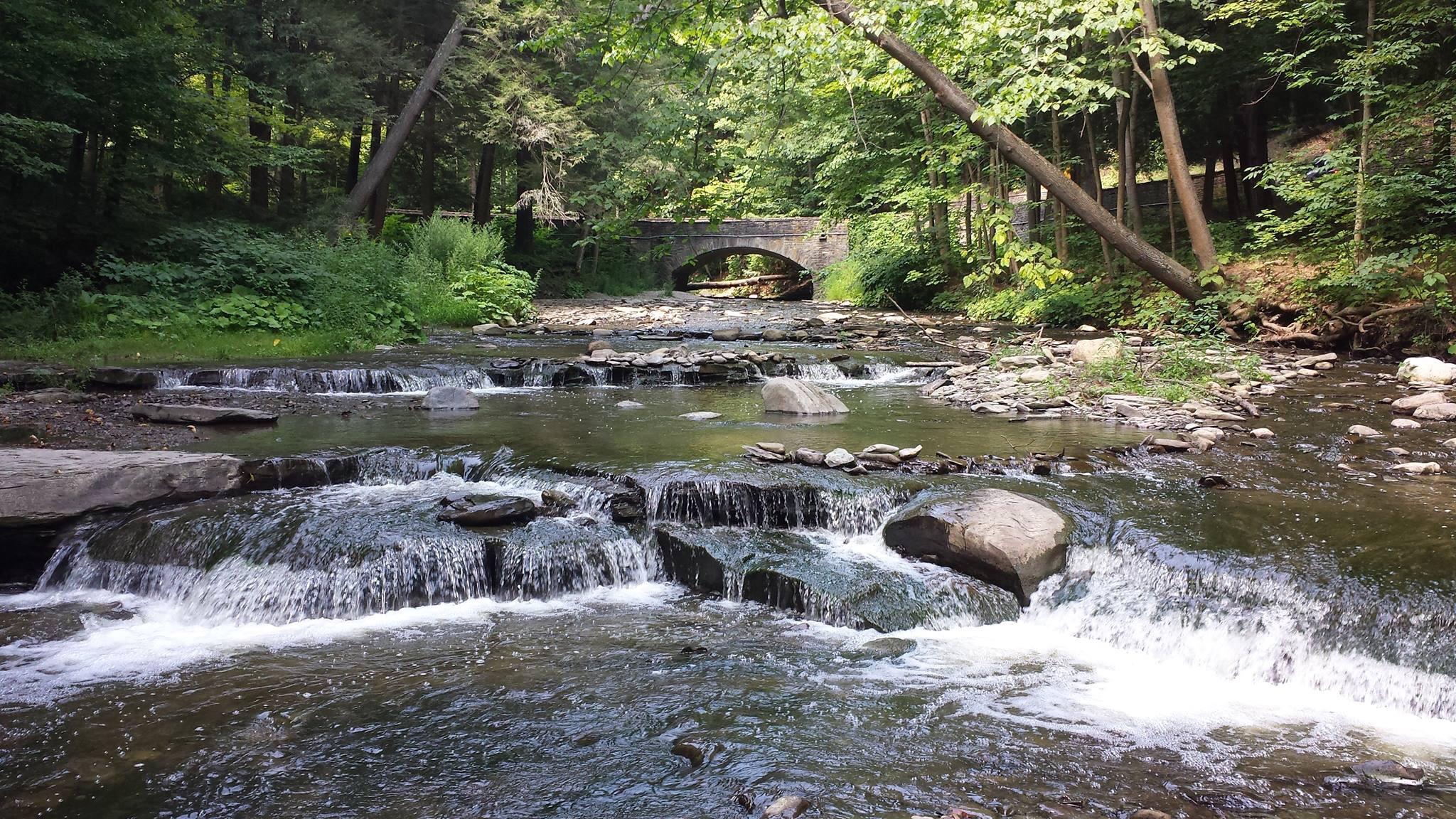 Letchworth State Park, NY r/ImagesOfNewYork