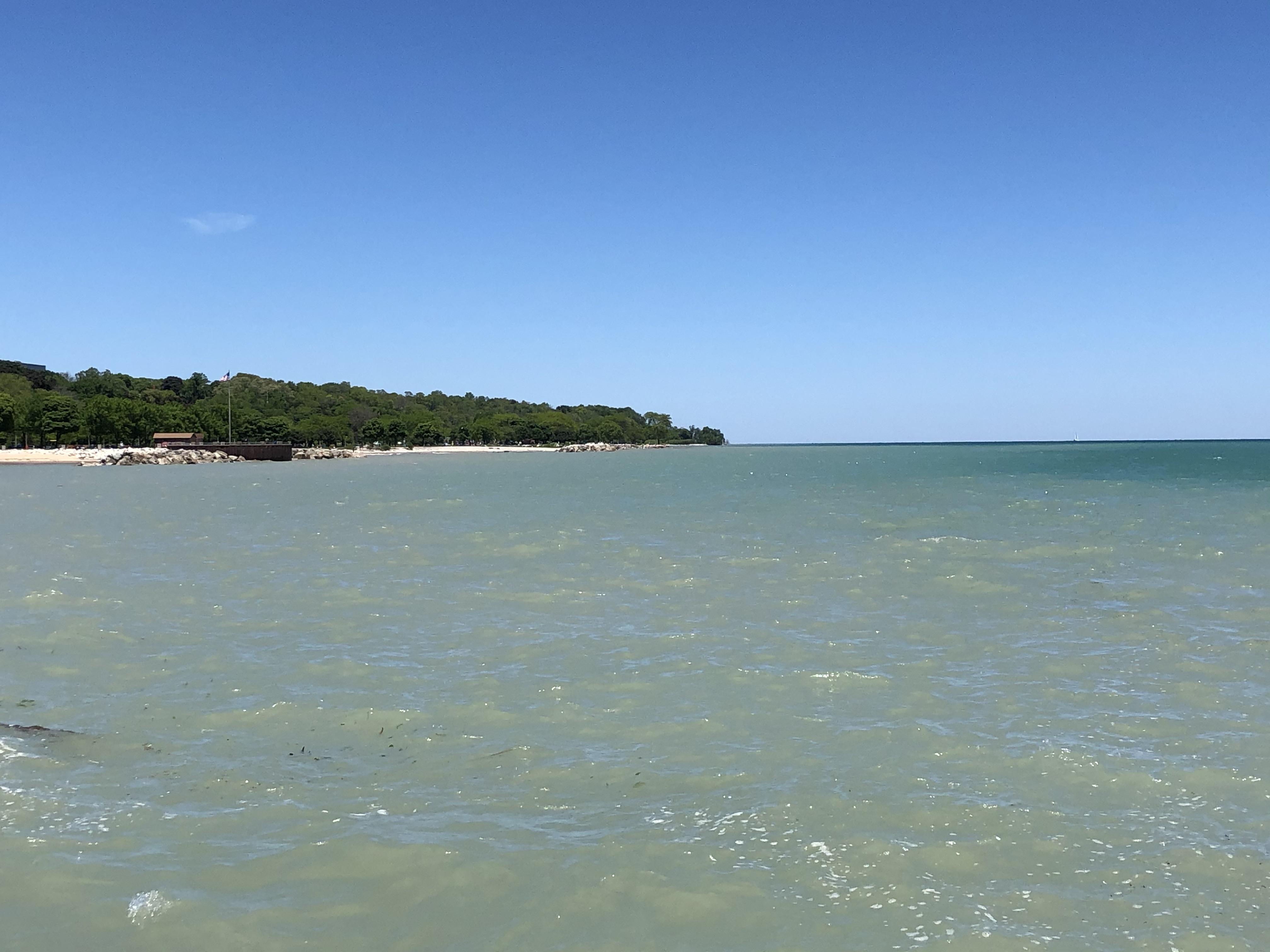 Bradford Beach looking like Bermuda r/milwaukee