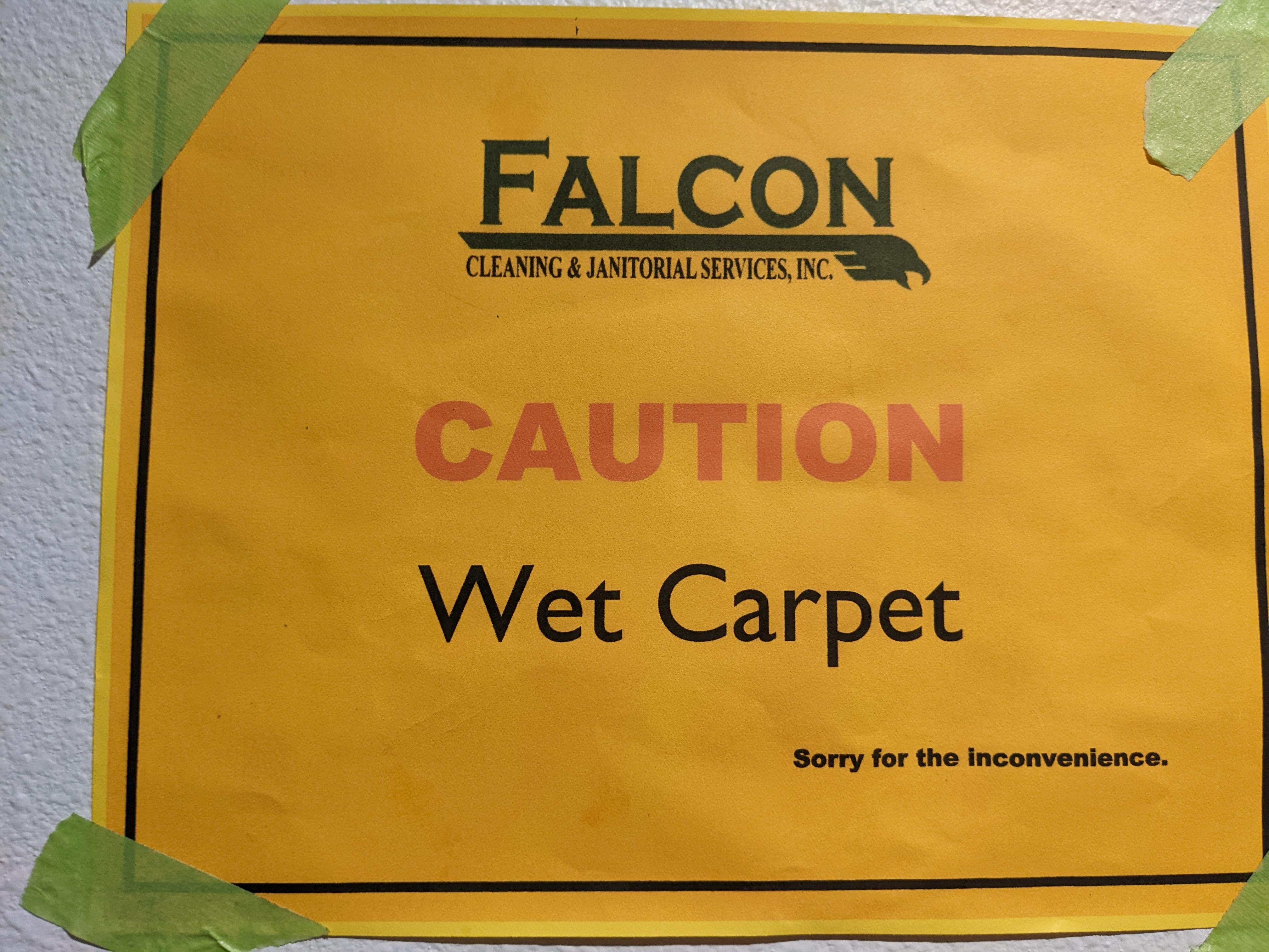 Got a visit from Falcon Carpet Wash r/yourmomshousepodcast