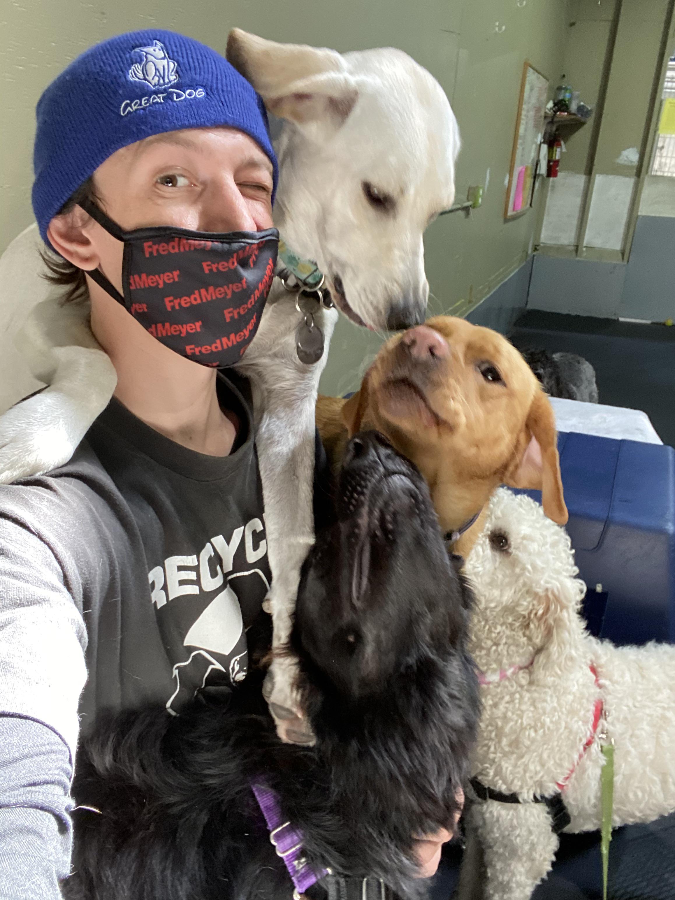 Got a job at a doggy daycare and it’s going pretty much as expected