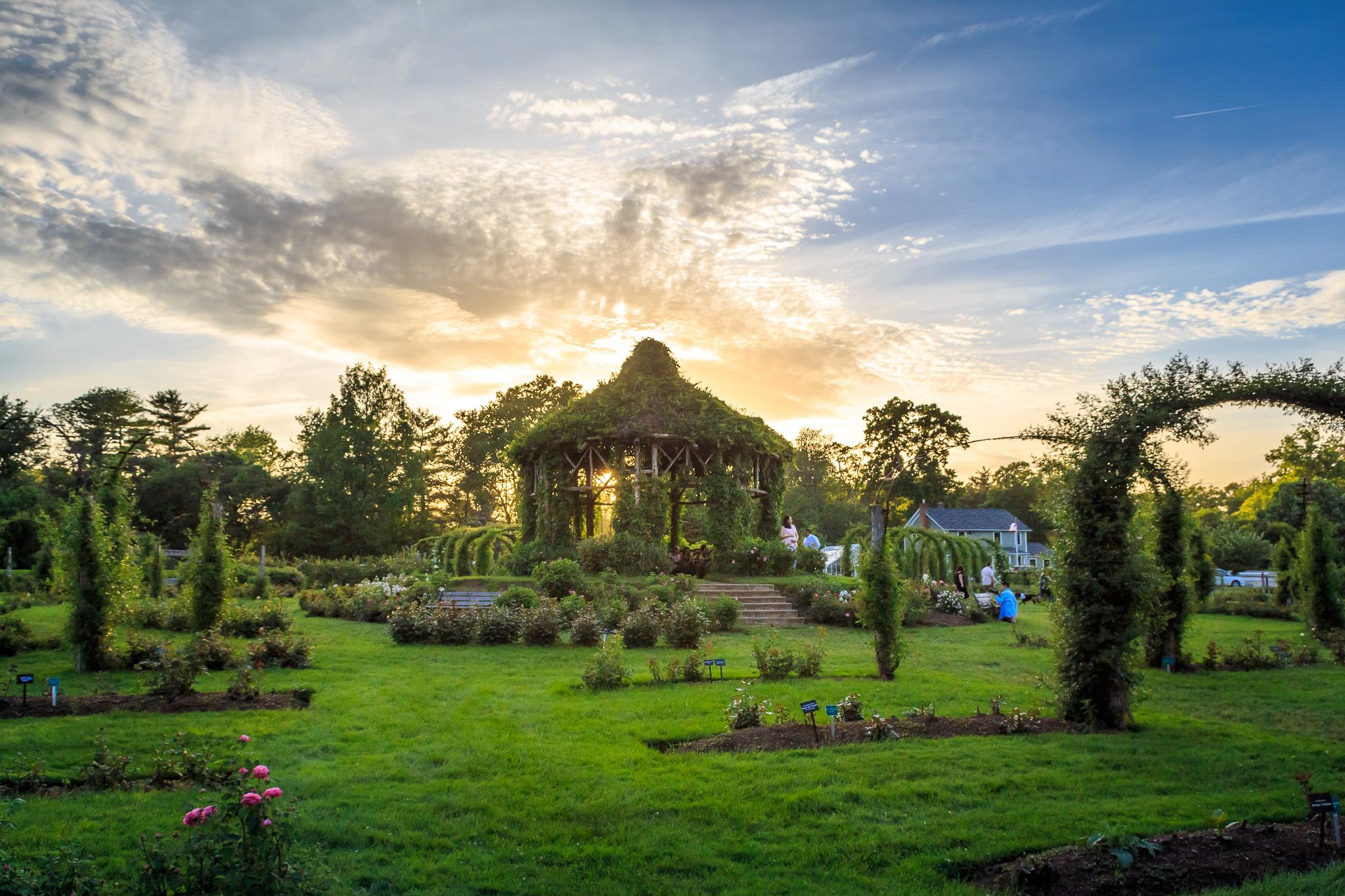 Elizabeth Park at sunset. r/Connecticut