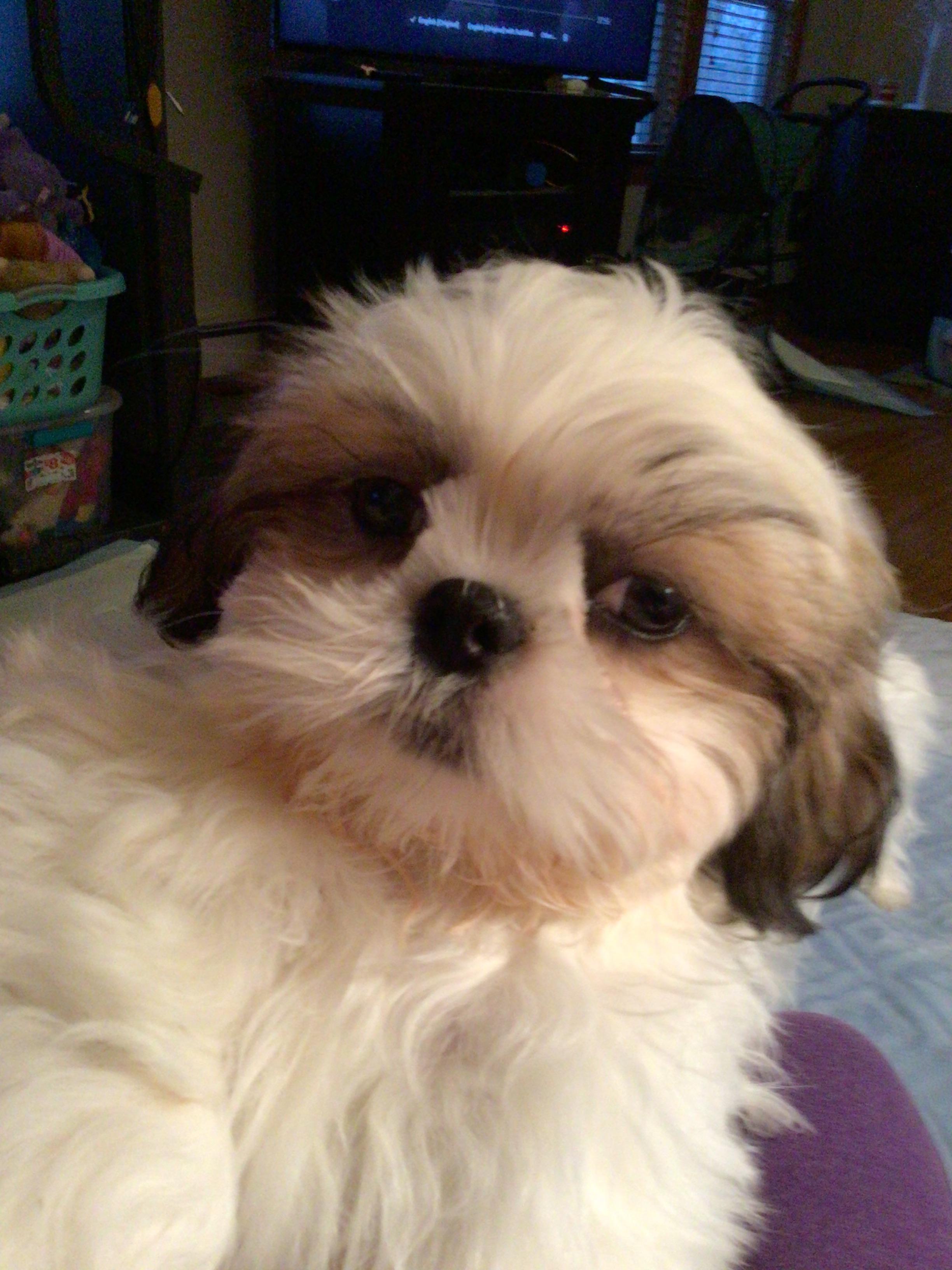 Can someone tell me please why my new 3 month old baby is eating his