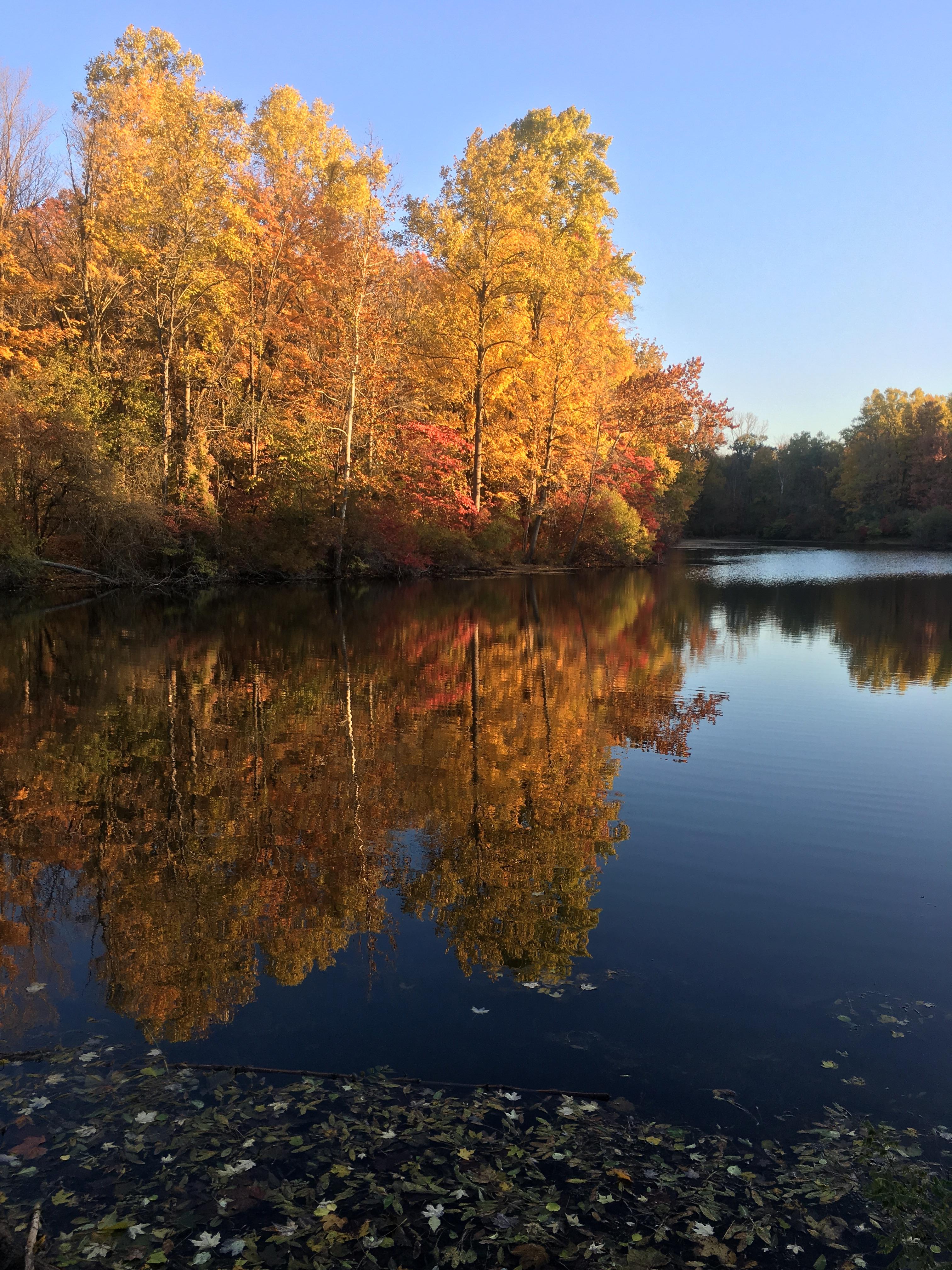 Hiking Eagle Creek Park on a nice fall morn. Indianapolis Indiana USA